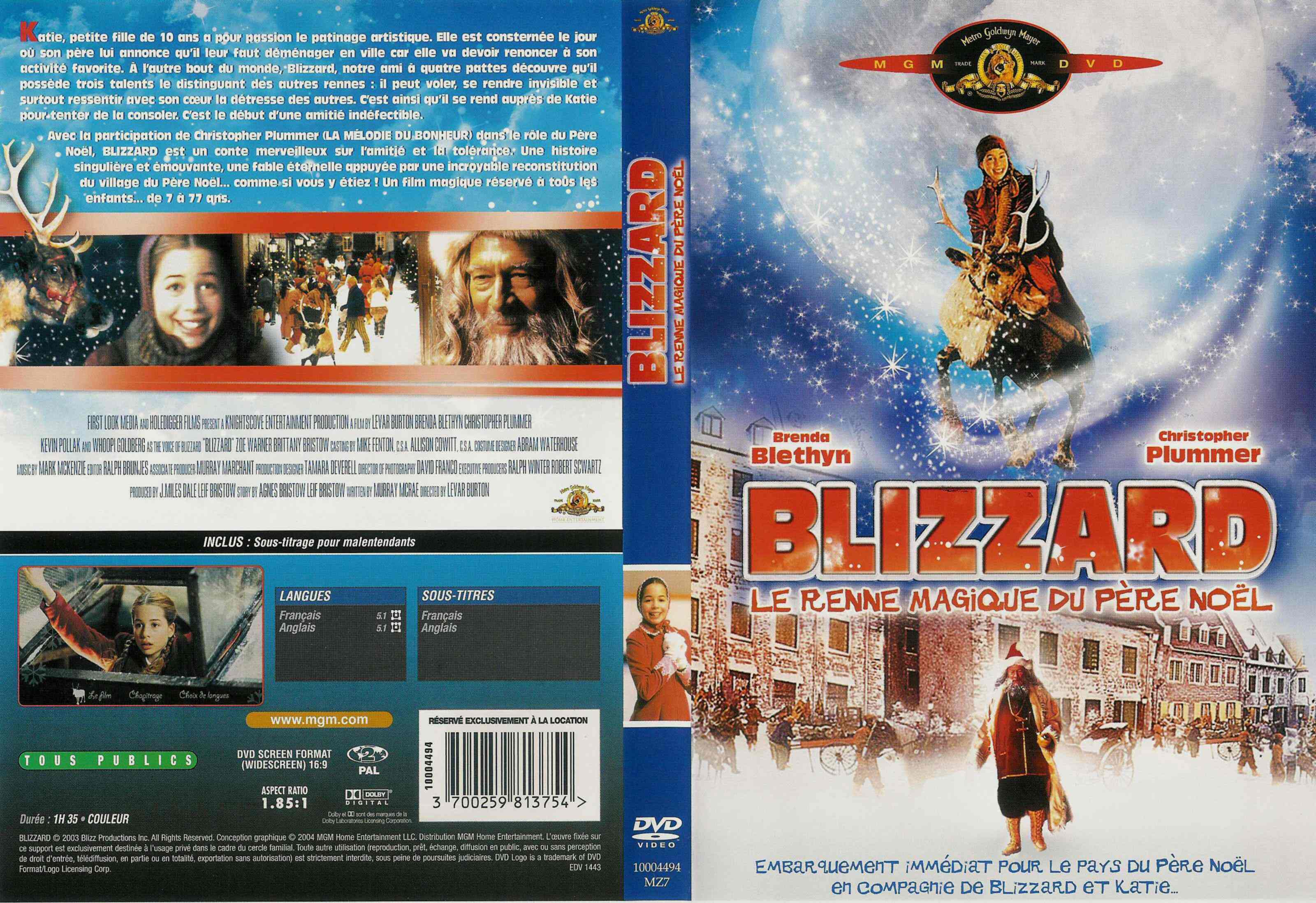 Jaquette DVD Blizzard