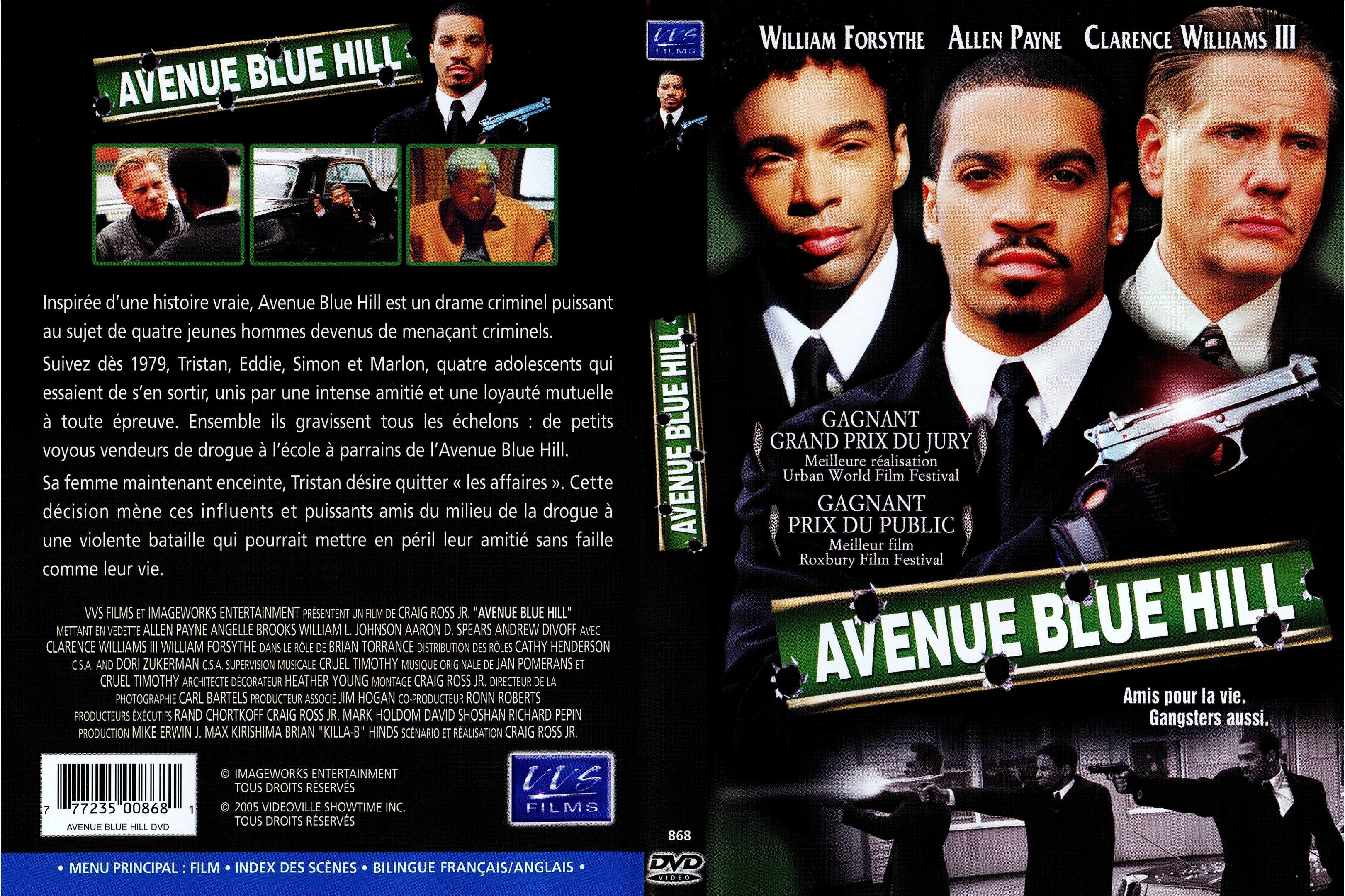 Jaquette DVD Avenue blue hill