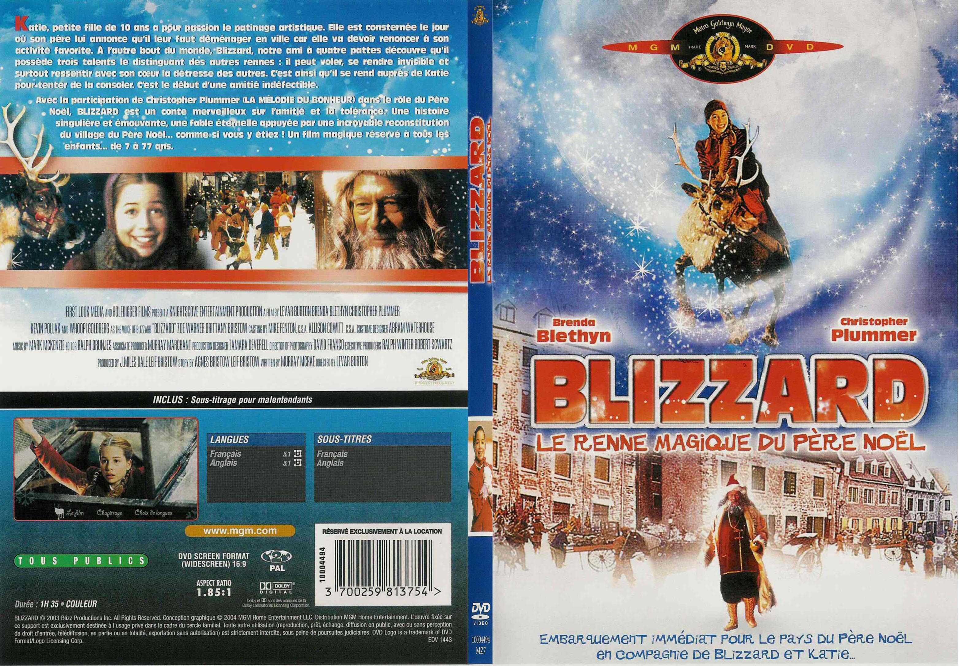 Jaquette DVD Blizzard - SLIM