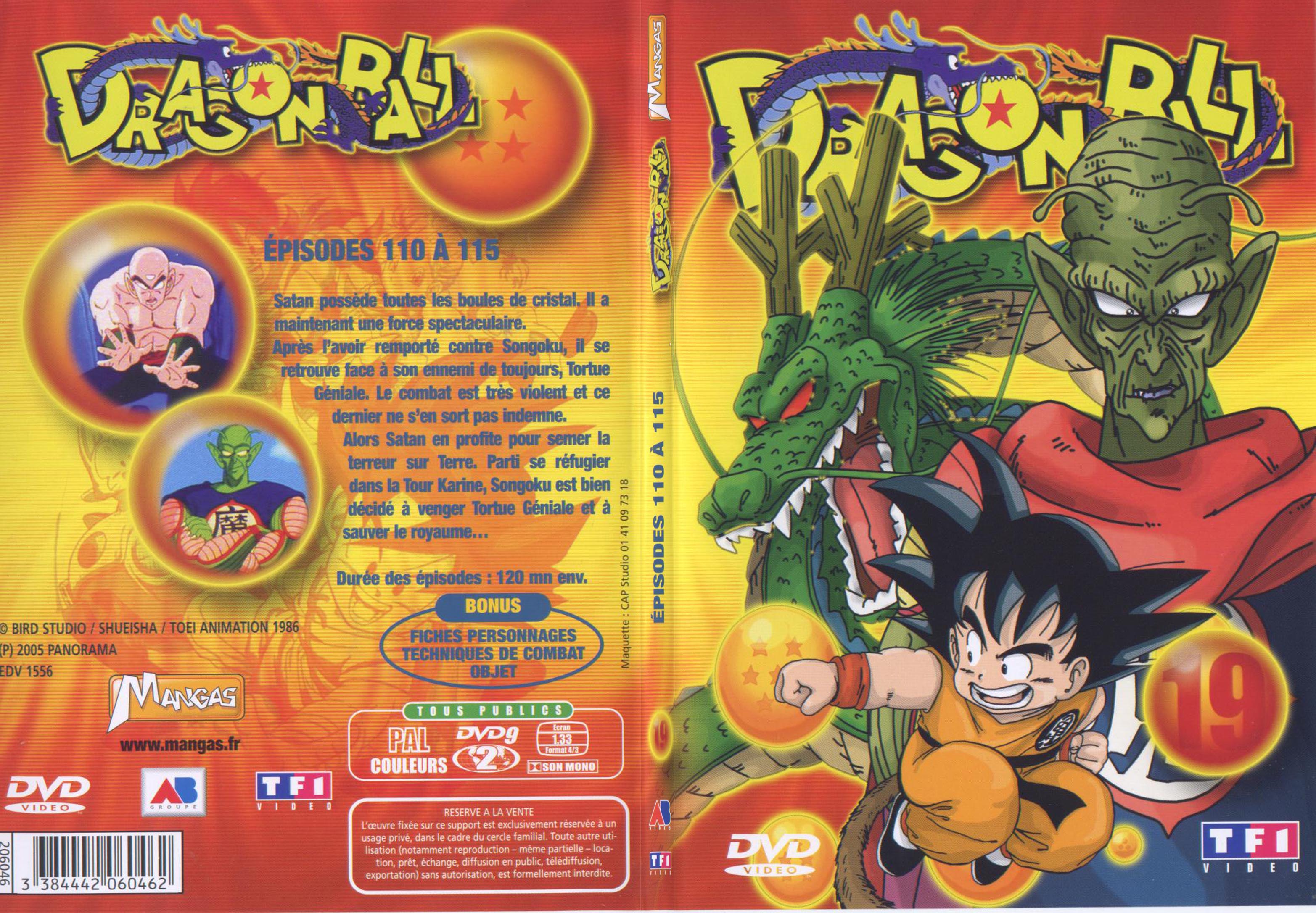 Jaquette DVD Dragon ball vol 19 - SLIM