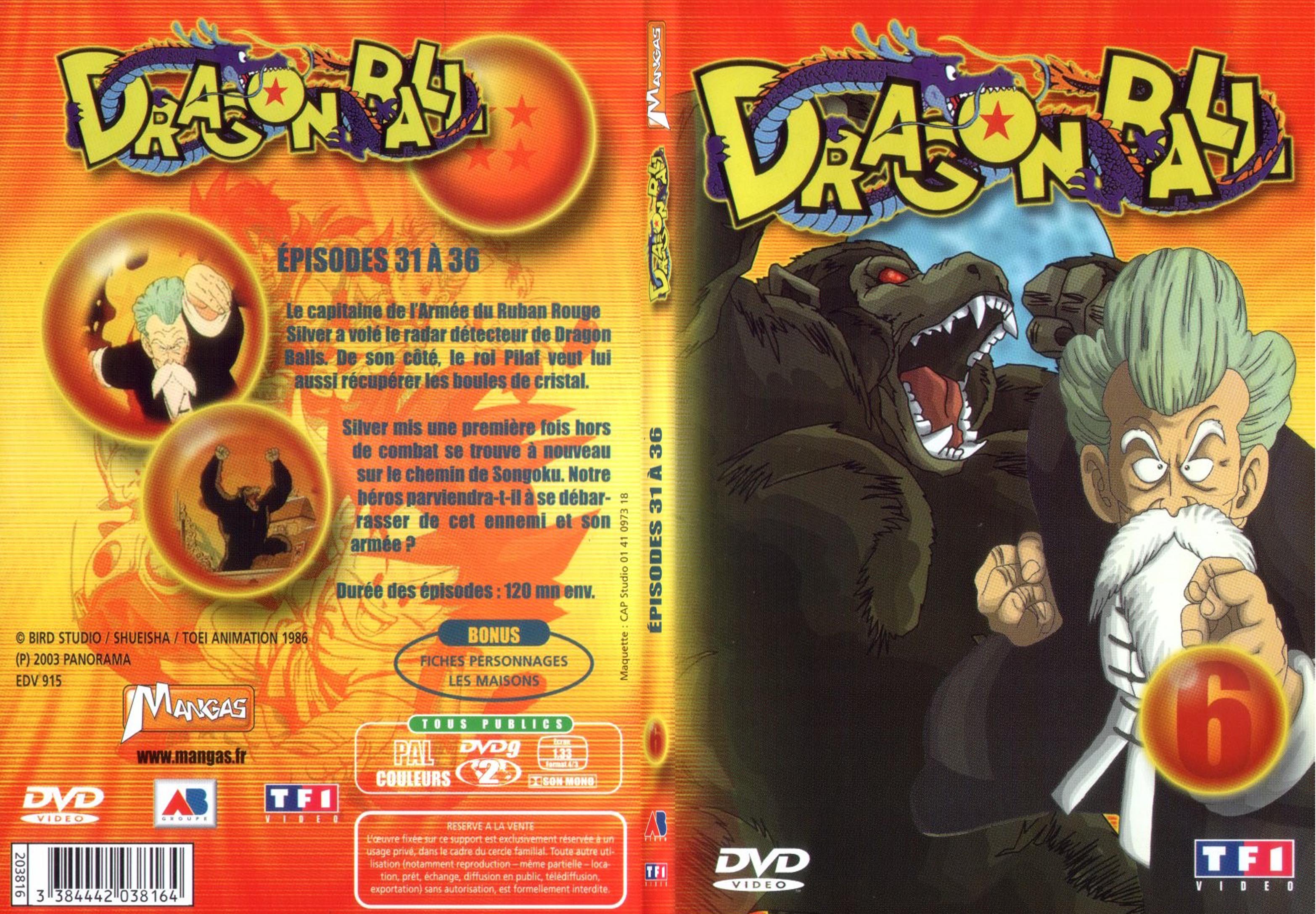 Jaquette DVD Dragon ball vol 6 - SLIM