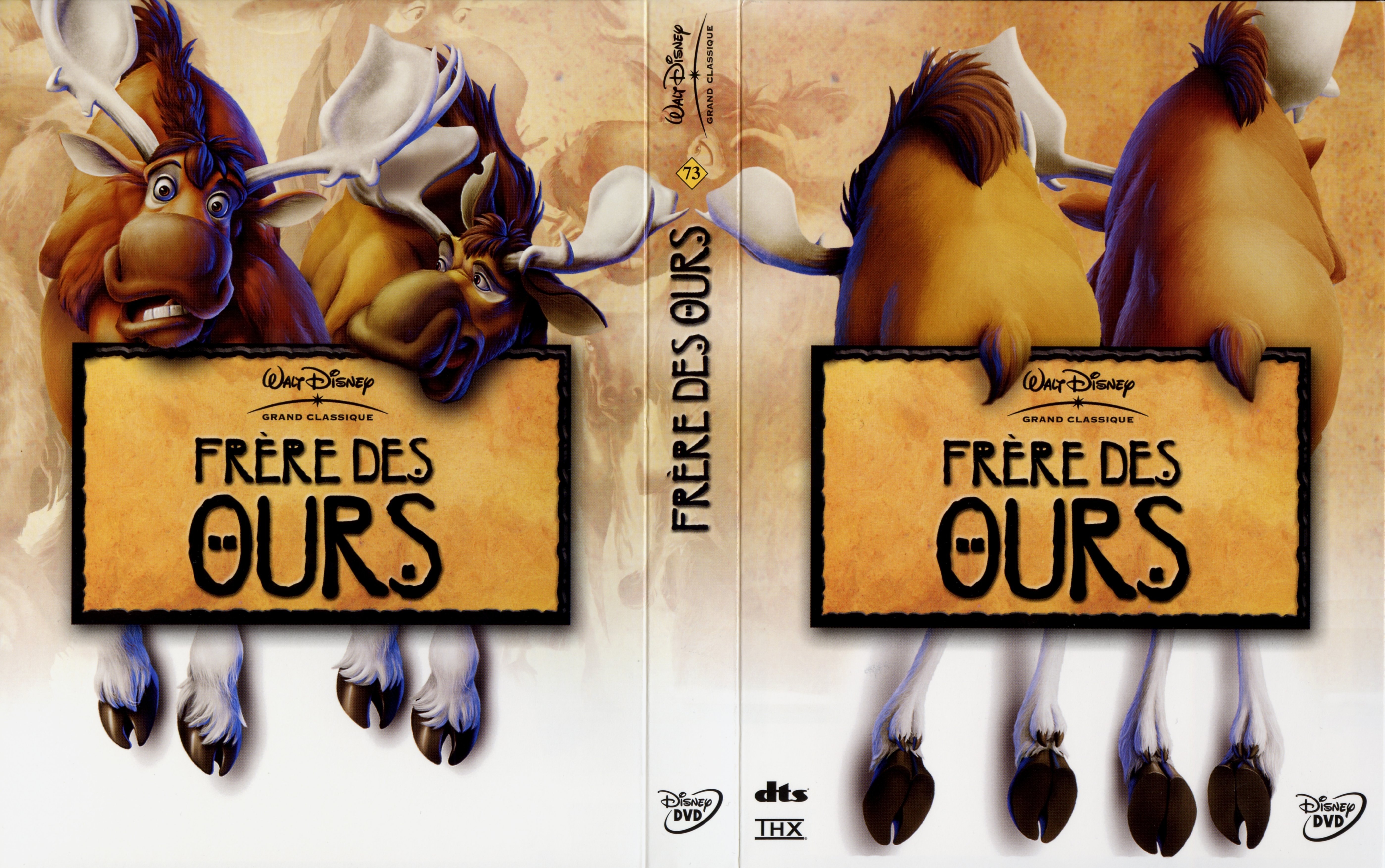 Jaquette DVD Frre des ours