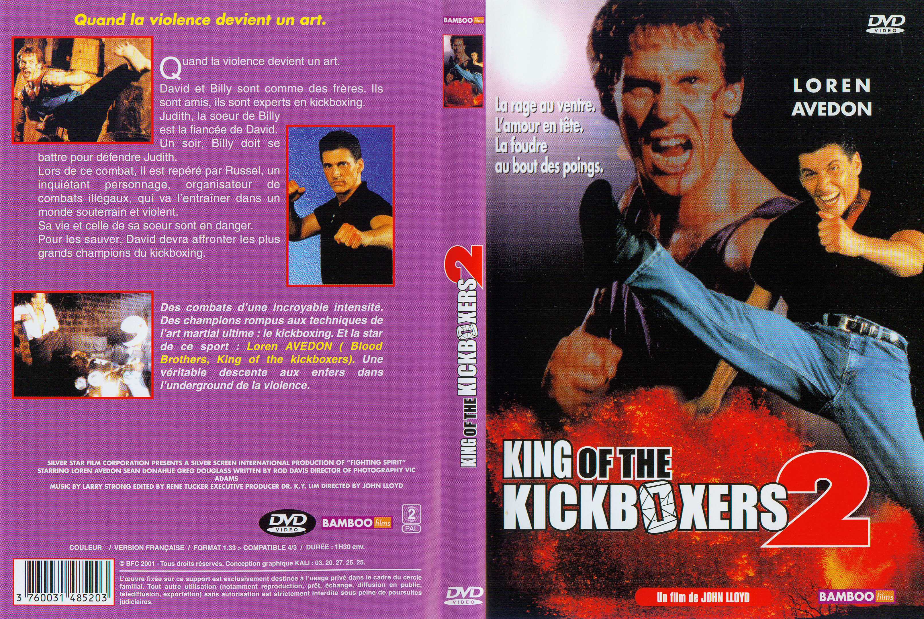 Jaquette DVD King of the kickboxers 2