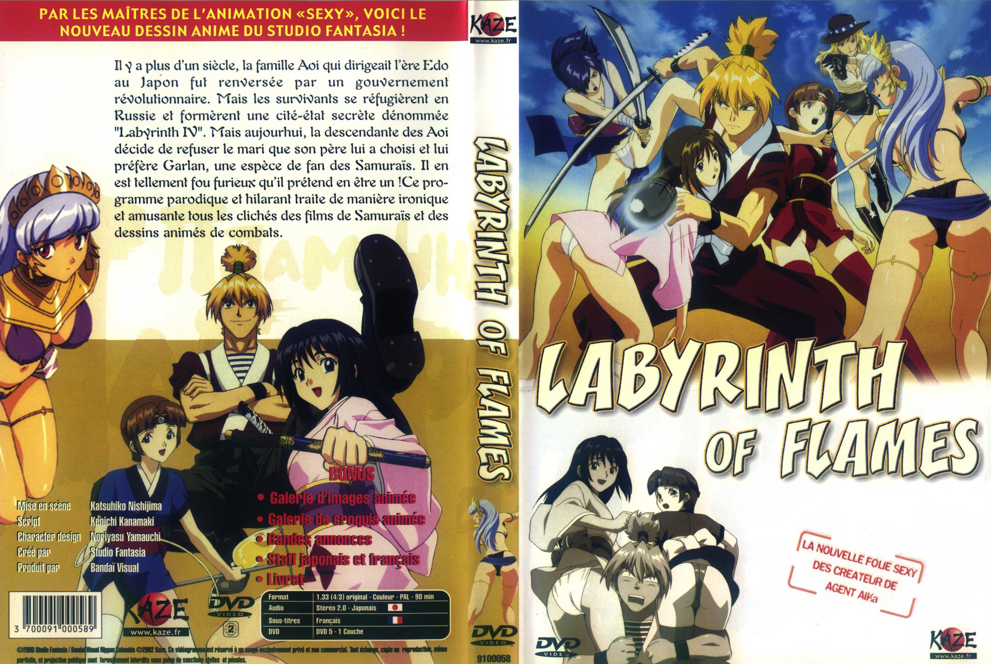 Jaquette DVD Labyrinth of flames