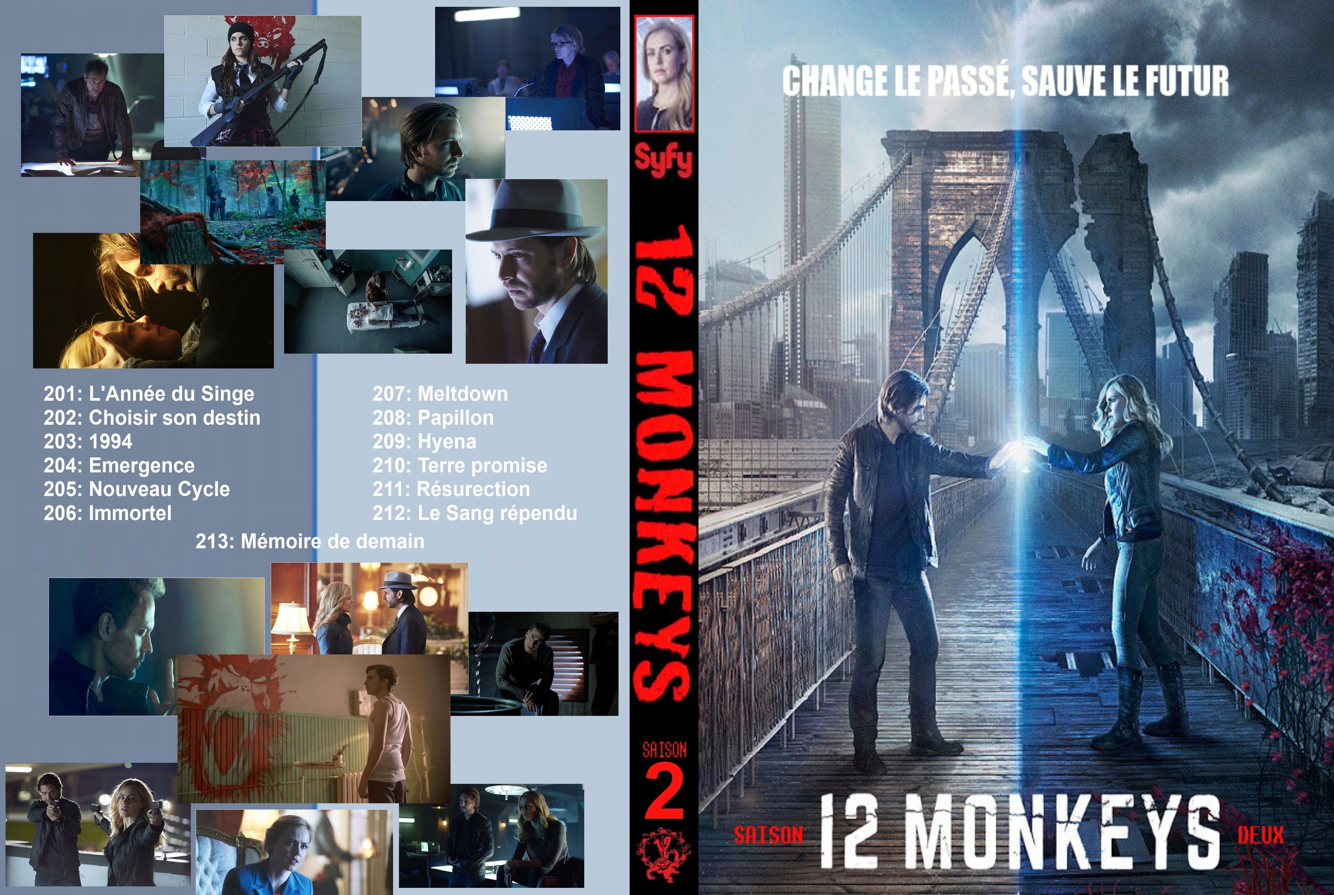 Jaquette DVD 12 Monkeys Saison 02 custom