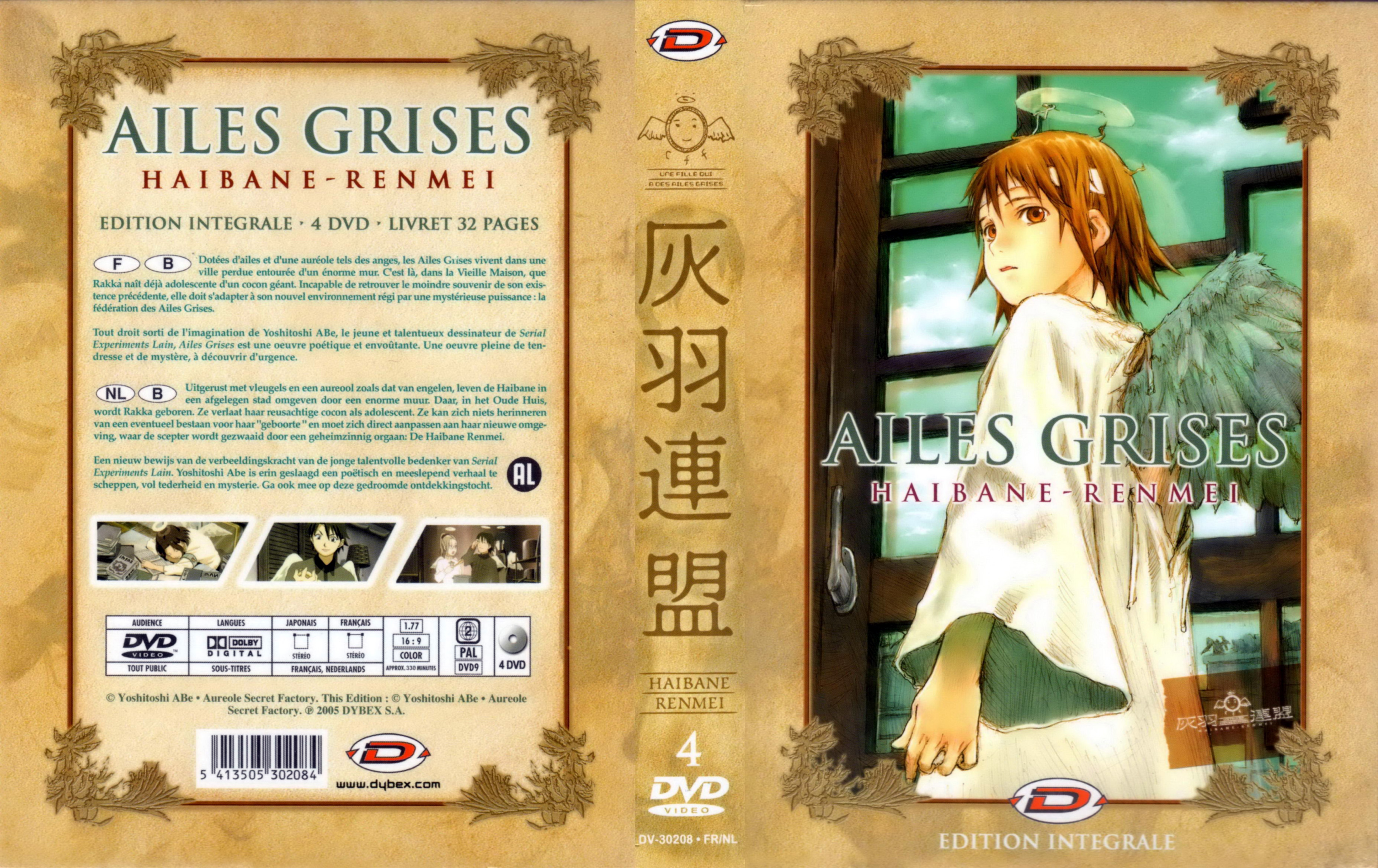 Jaquette DVD Ailes grises