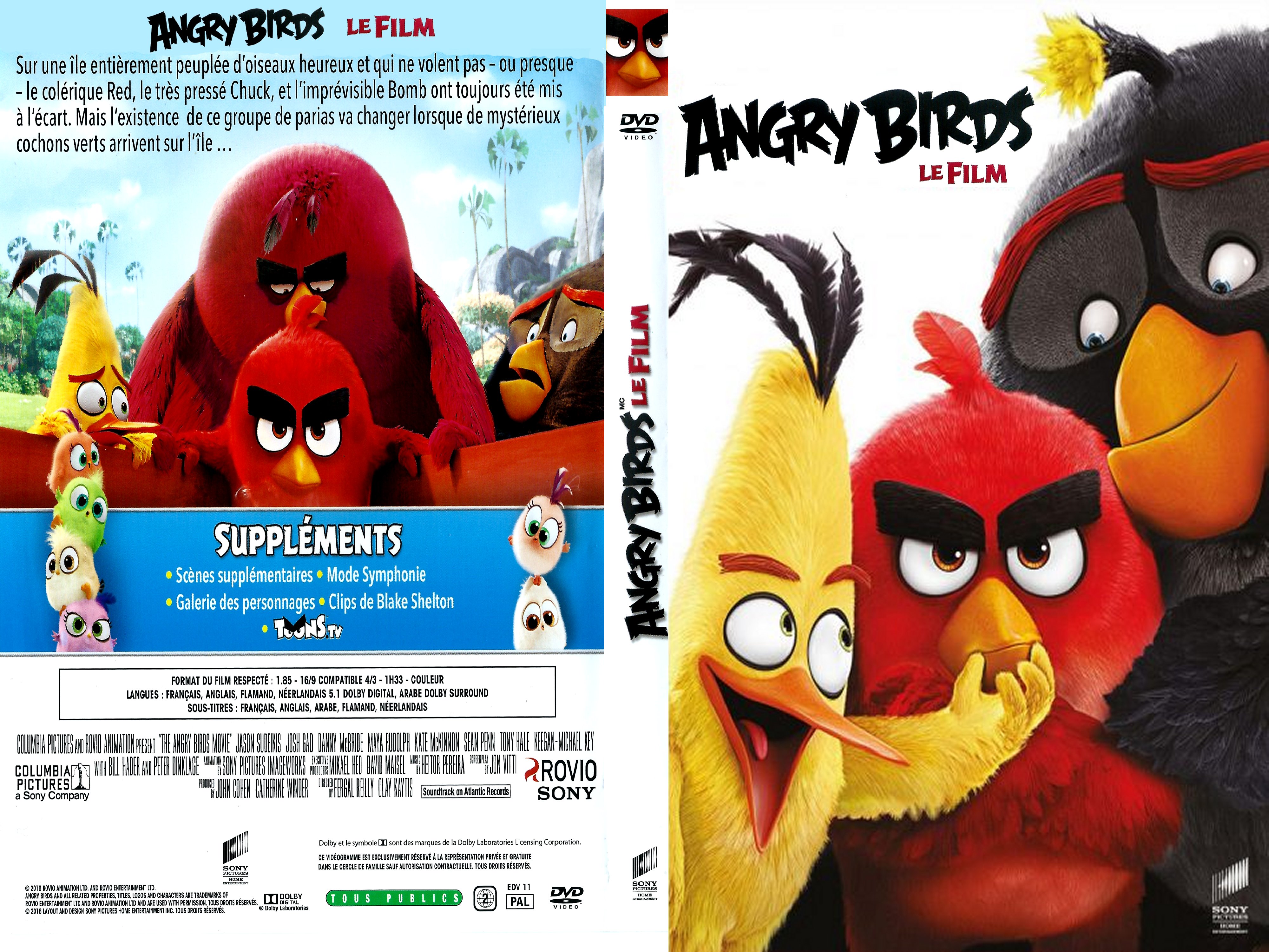 Jaquette DVD Angry Birds custom v2