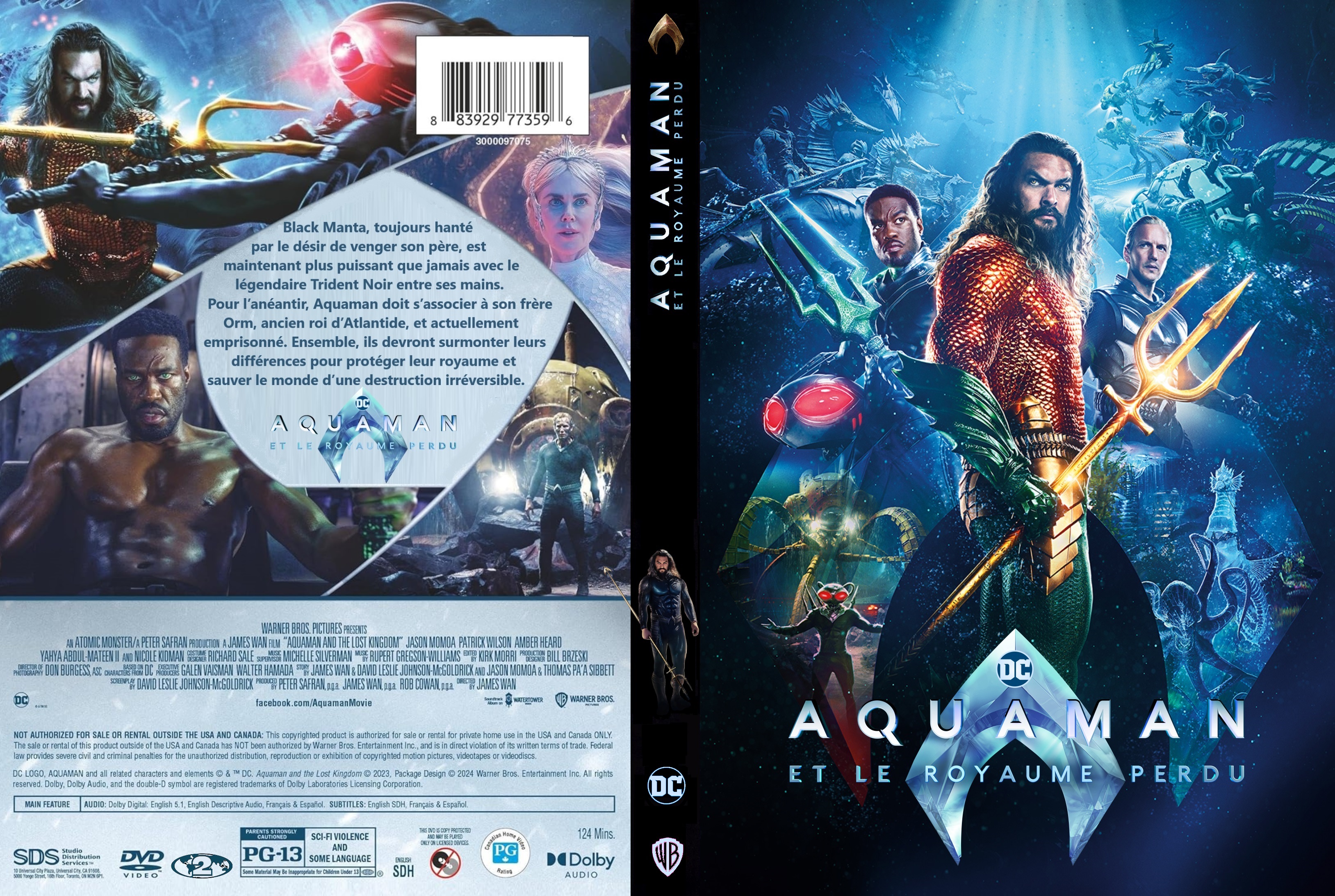 Jaquette DVD Aquaman et le Royaume Perdu custom v2