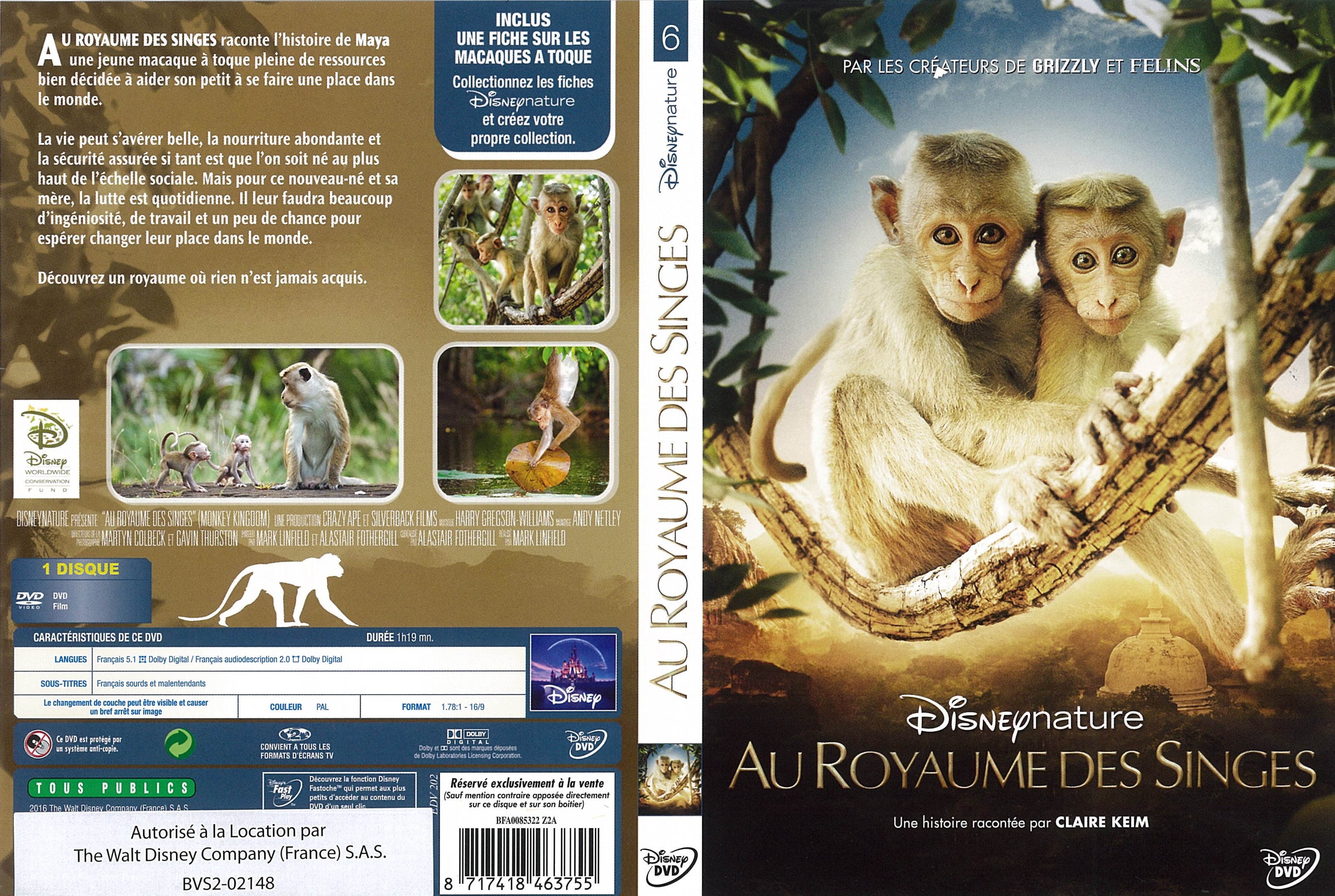 Jaquette DVD Au Royaume des Singes