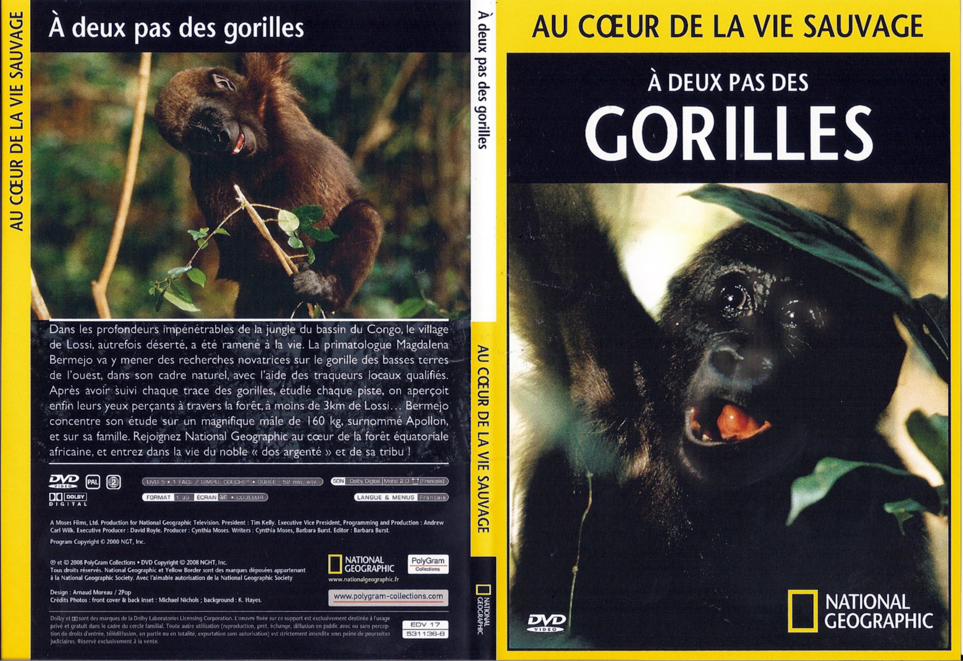 Jaquette DVD Au coeur de la vie sauvage - A deux pas des Gorilles