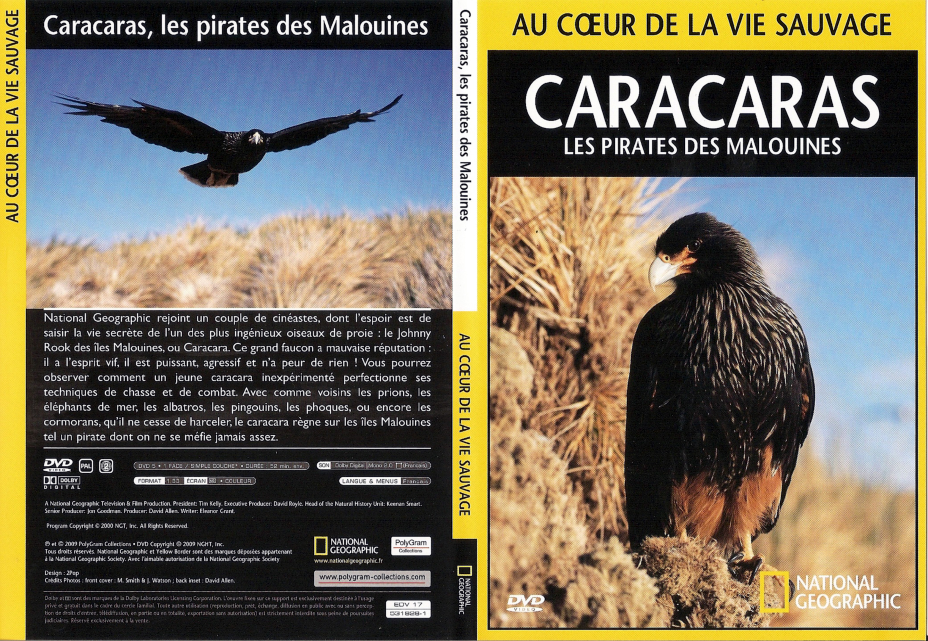 Jaquette DVD Au coeur de la vie sauvage - Caracaras les pirates des Malouines