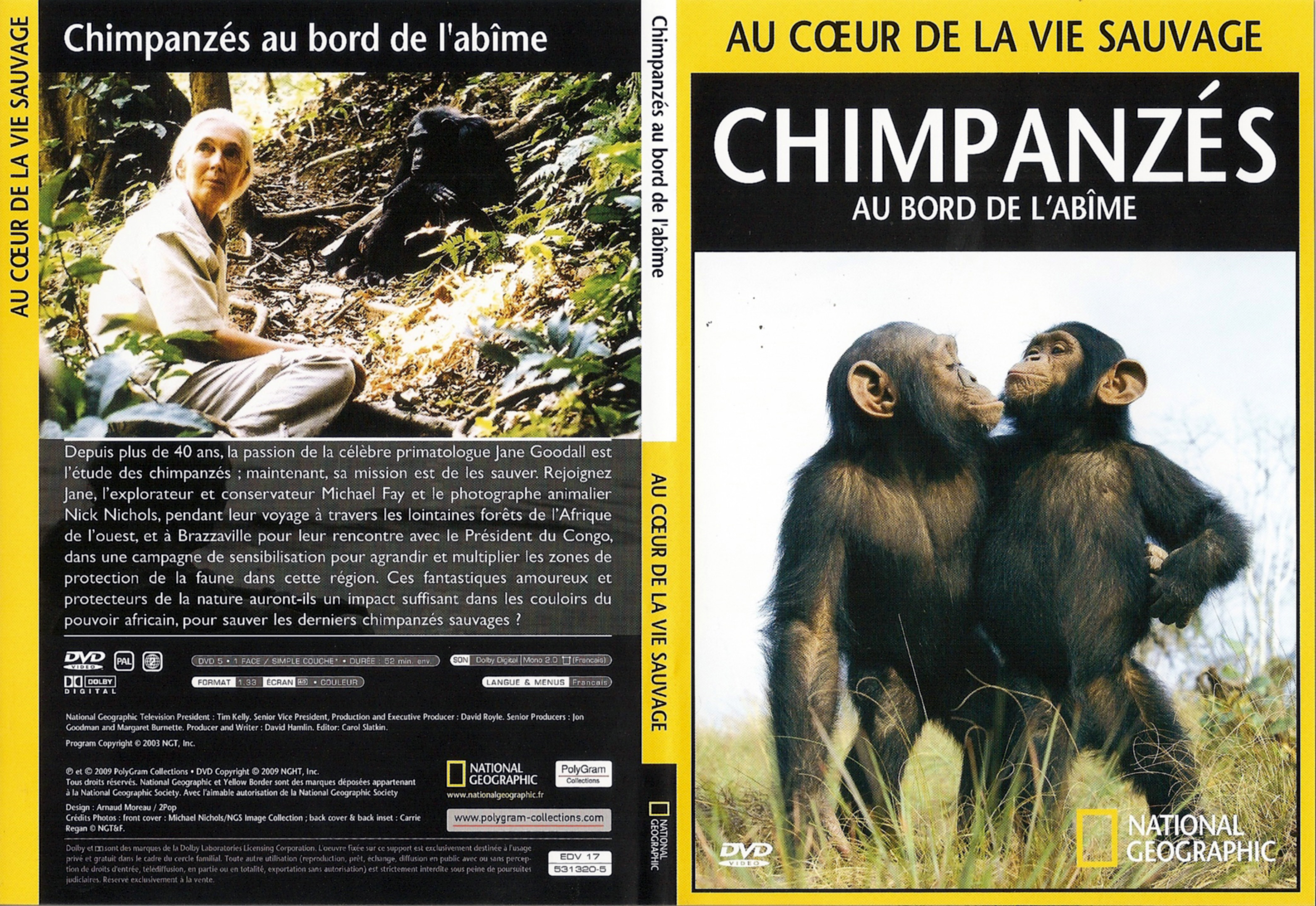 Jaquette DVD Au coeur de la vie sauvage - Chimpanzs au bord de l