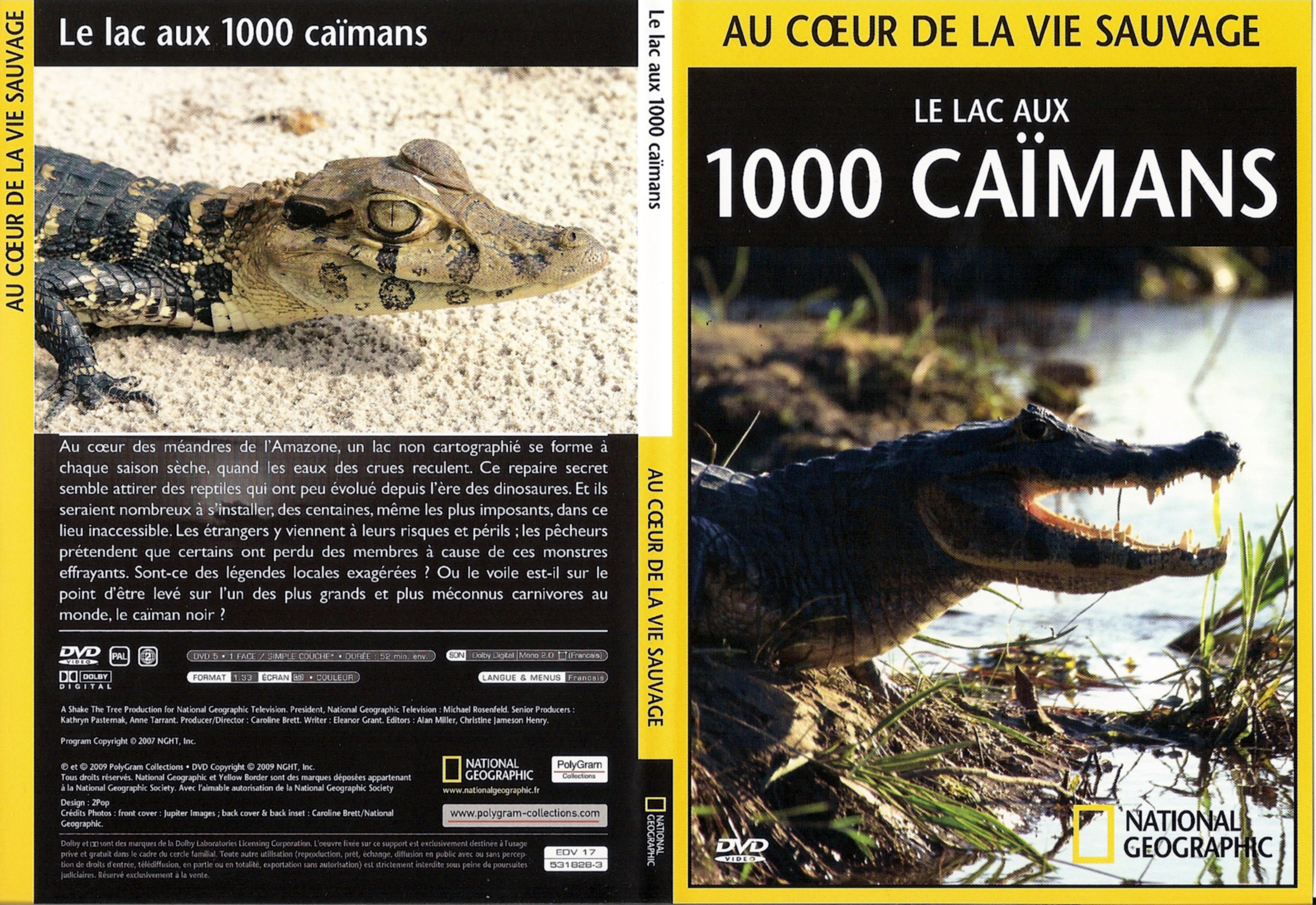Jaquette DVD Au coeur de la vie sauvage - Le lac aux 1000 caimans