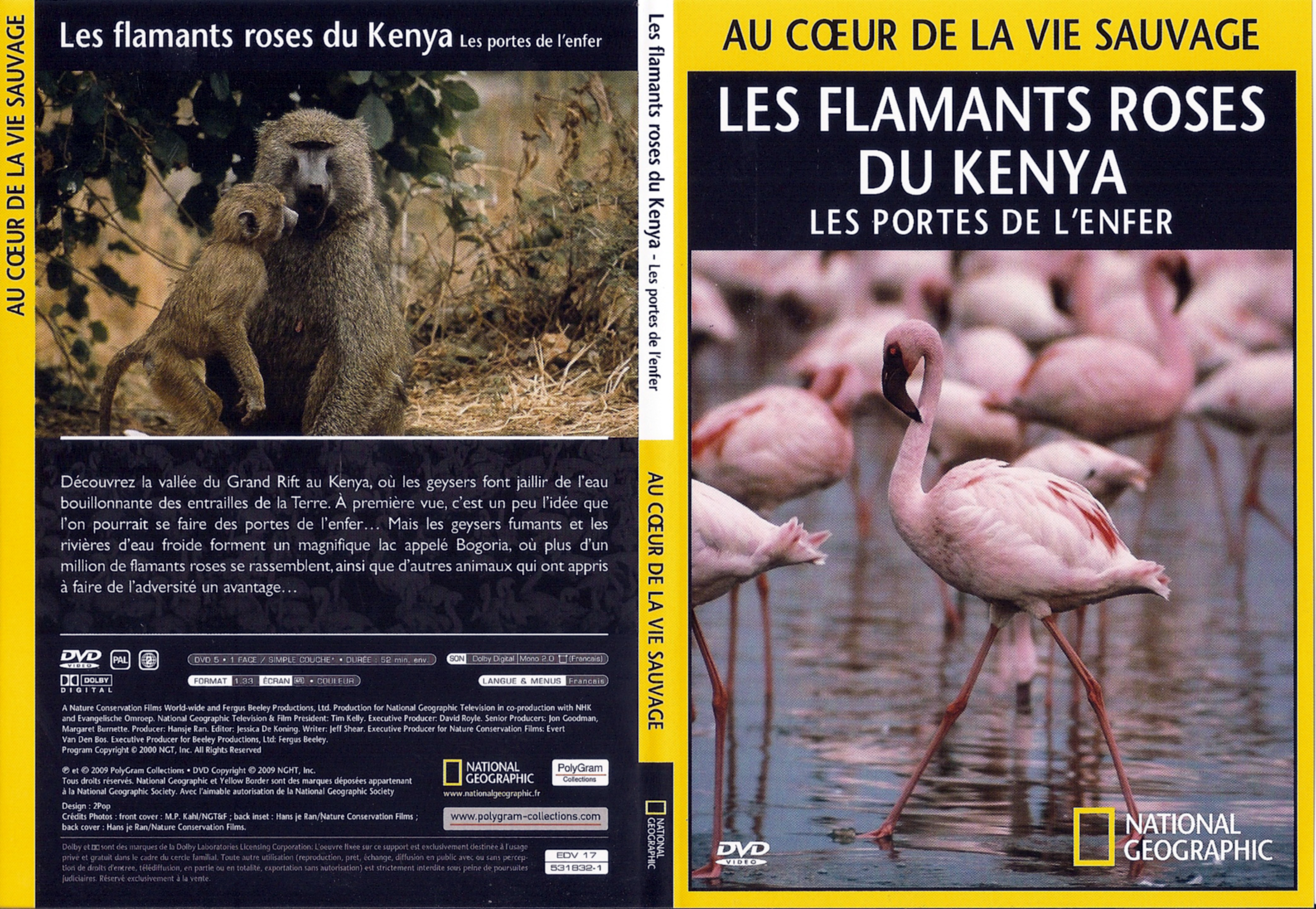 Jaquette DVD Au coeur de la vie sauvage - Les Flamands roses du Kenya