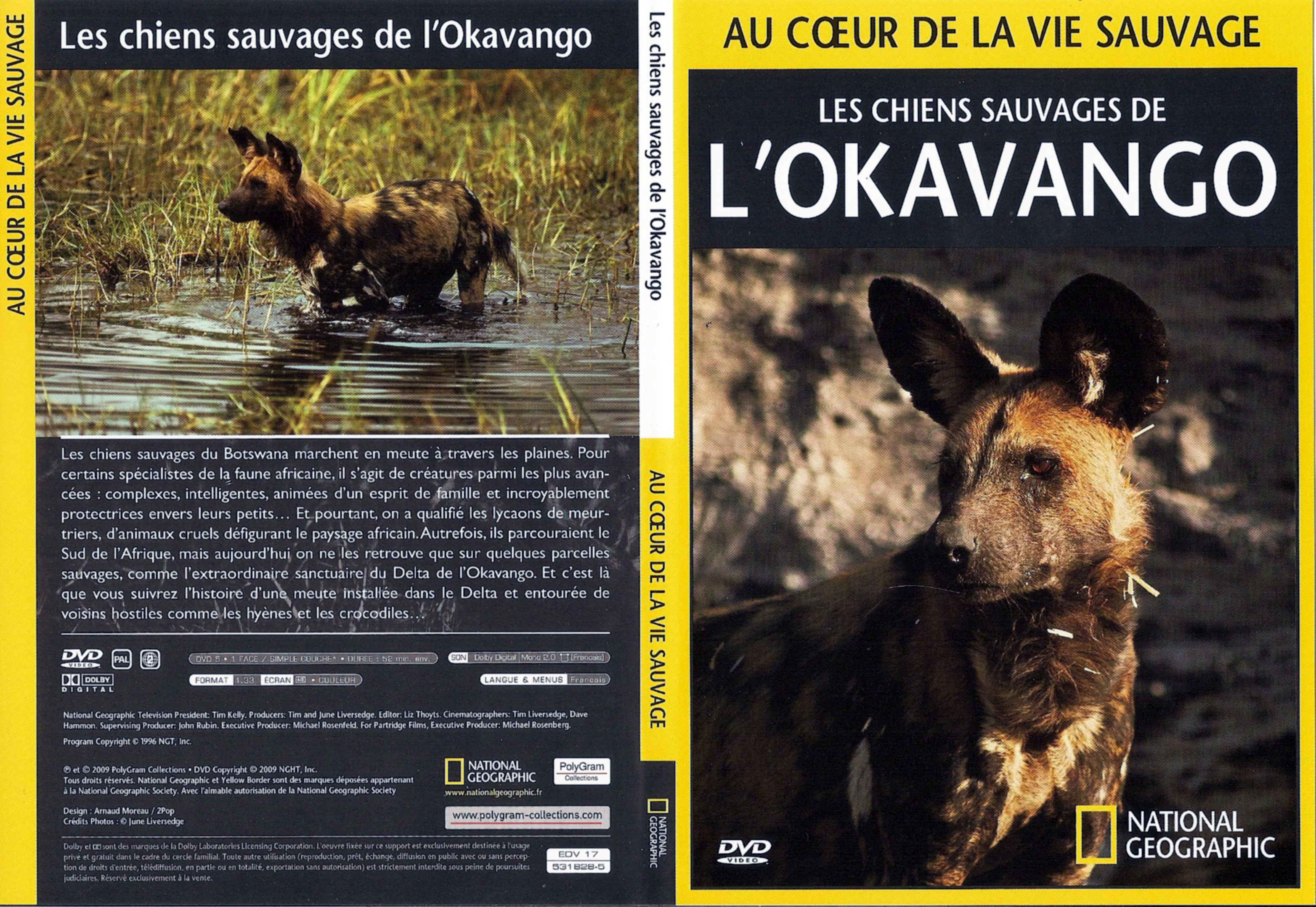 Jaquette DVD Au coeur de la vie sauvage - Les chiens sauvages de l