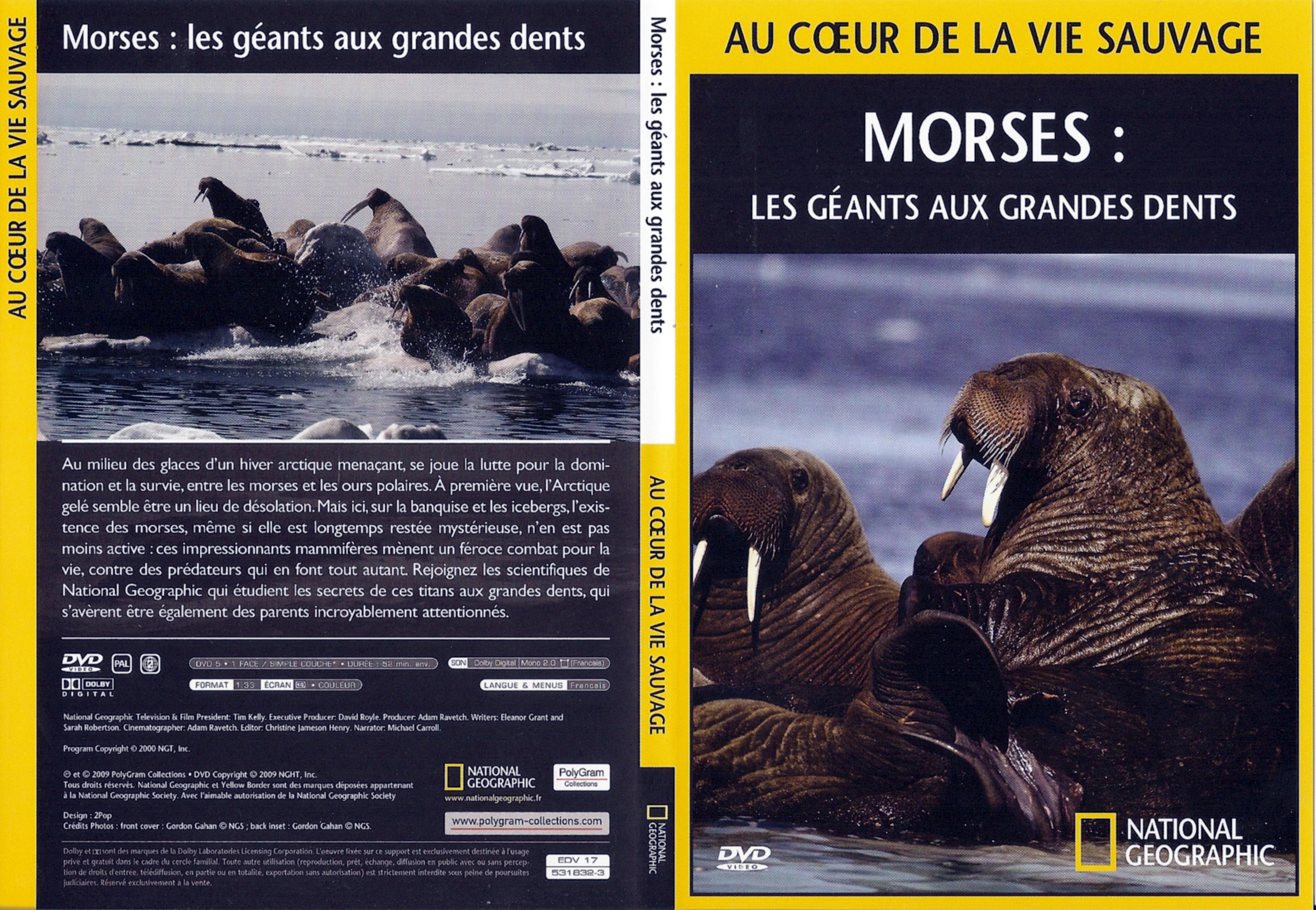 Jaquette DVD Au coeur de la vie sauvage - Morses les gants aux grandes dents