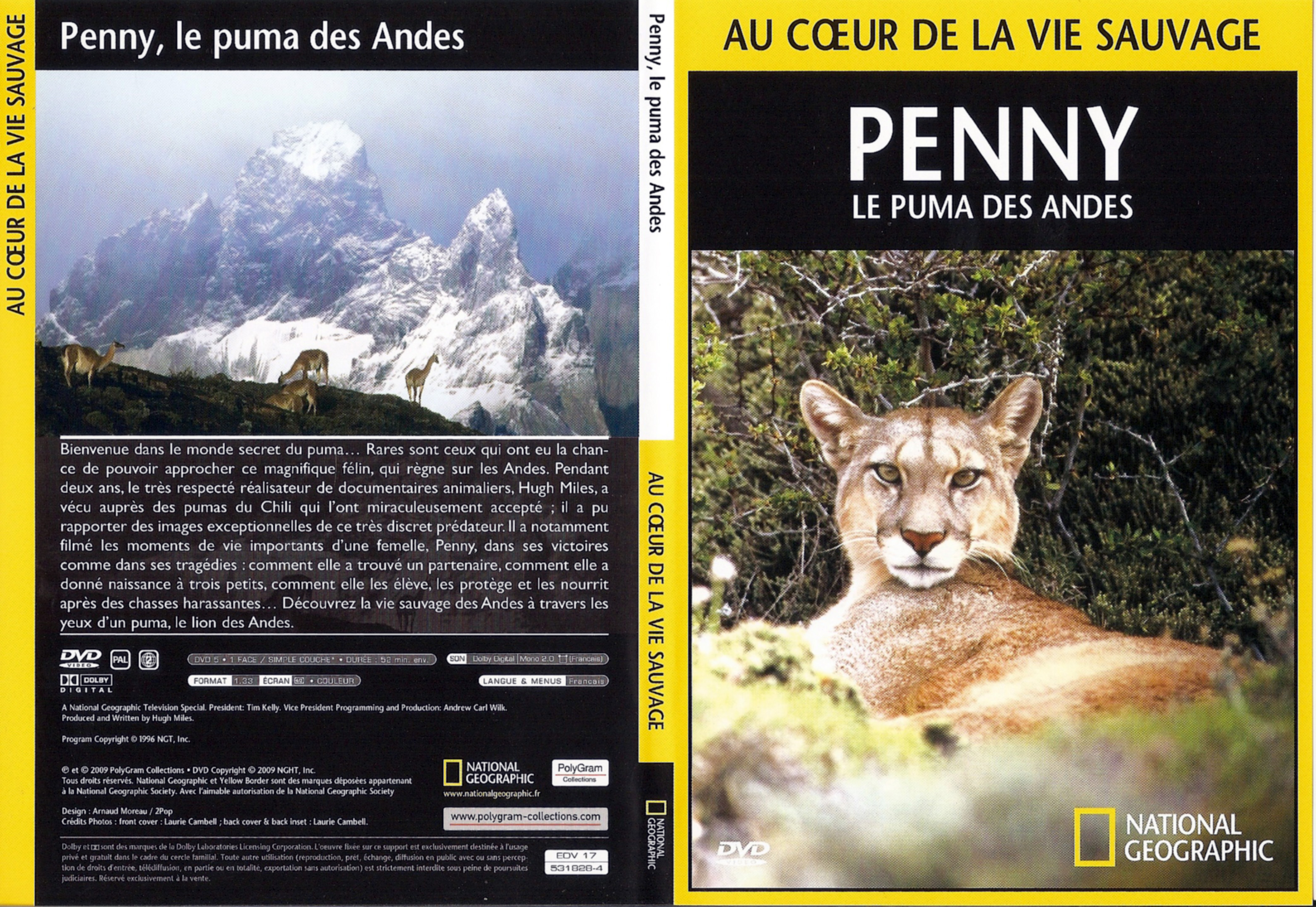 Jaquette DVD Au coeur de la vie sauvage - Penny le puma des Andes
