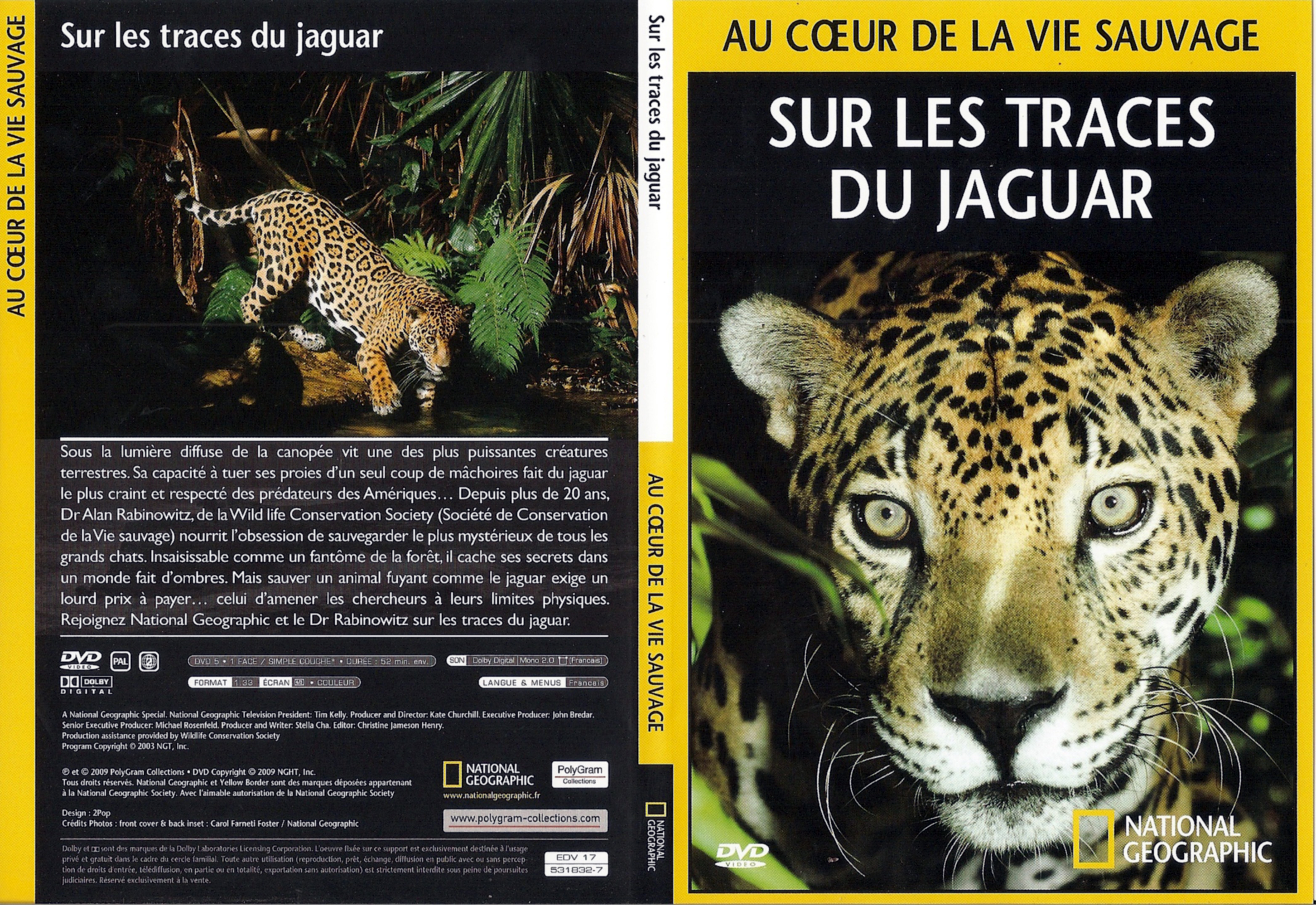 Jaquette DVD Au coeur de la vie sauvage - Sur les traces du jaguar