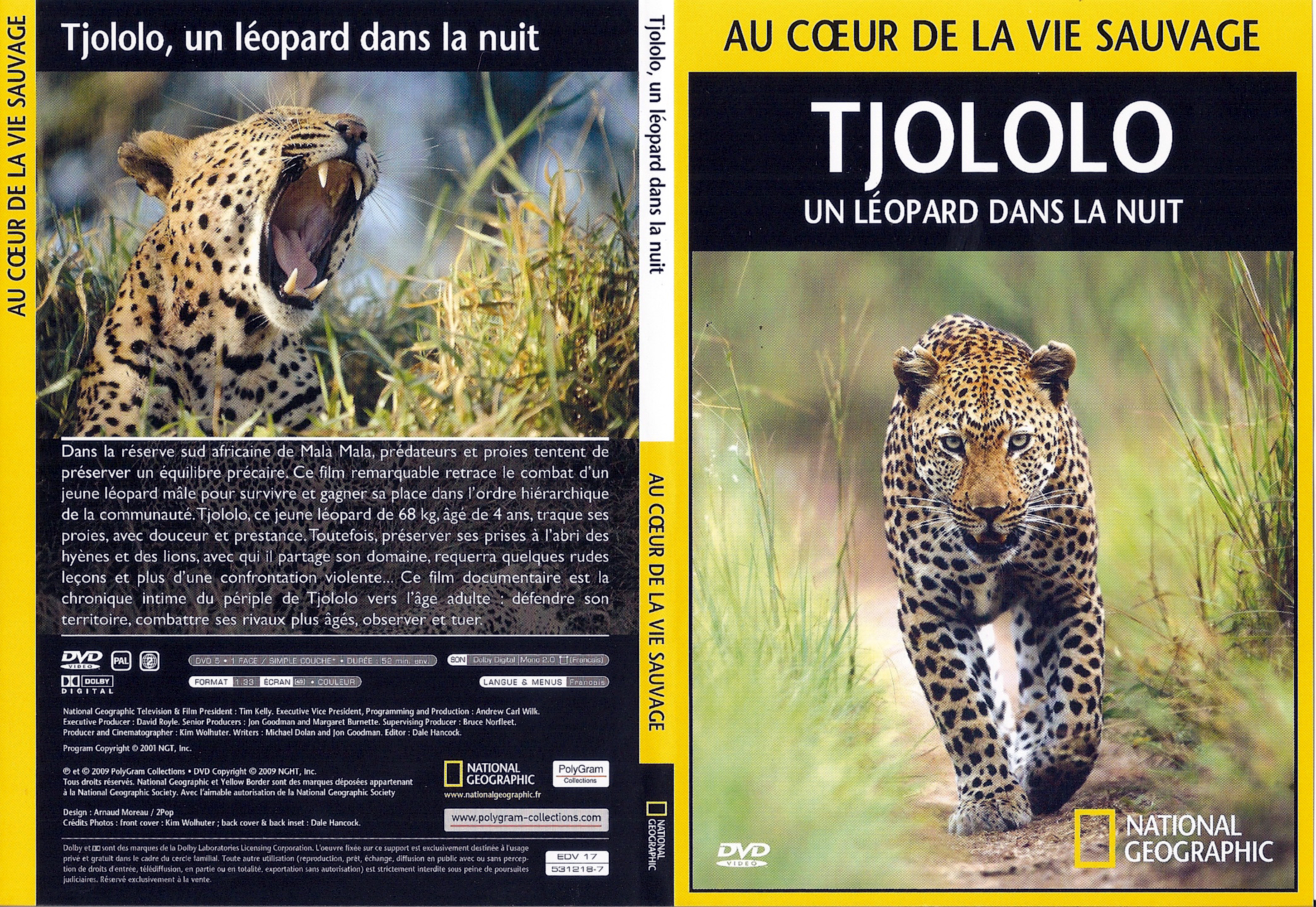 Jaquette DVD Au coeur de la vie sauvage - Tjololo un lopard dans la nuit