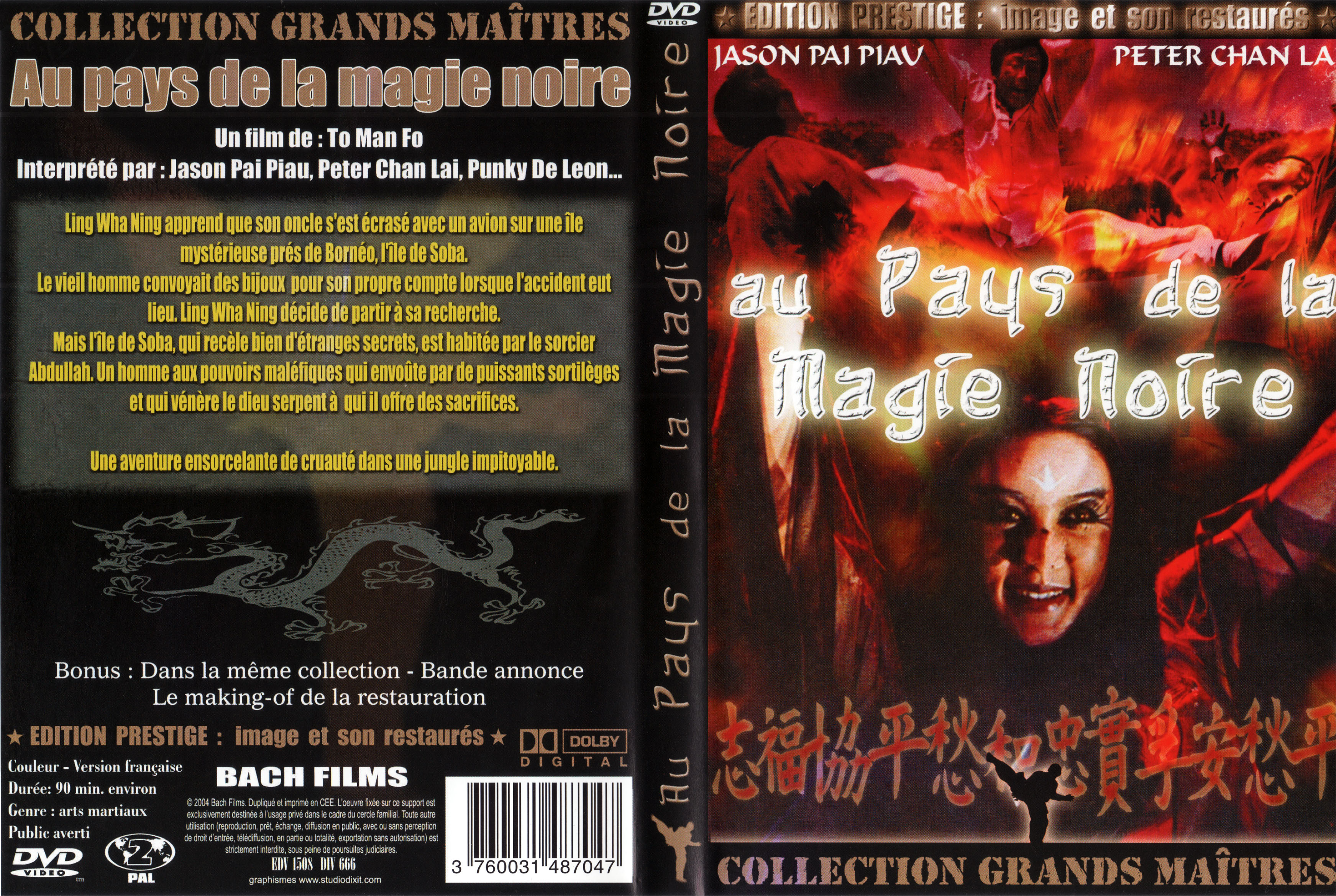 Jaquette DVD Au pays de la magie noire