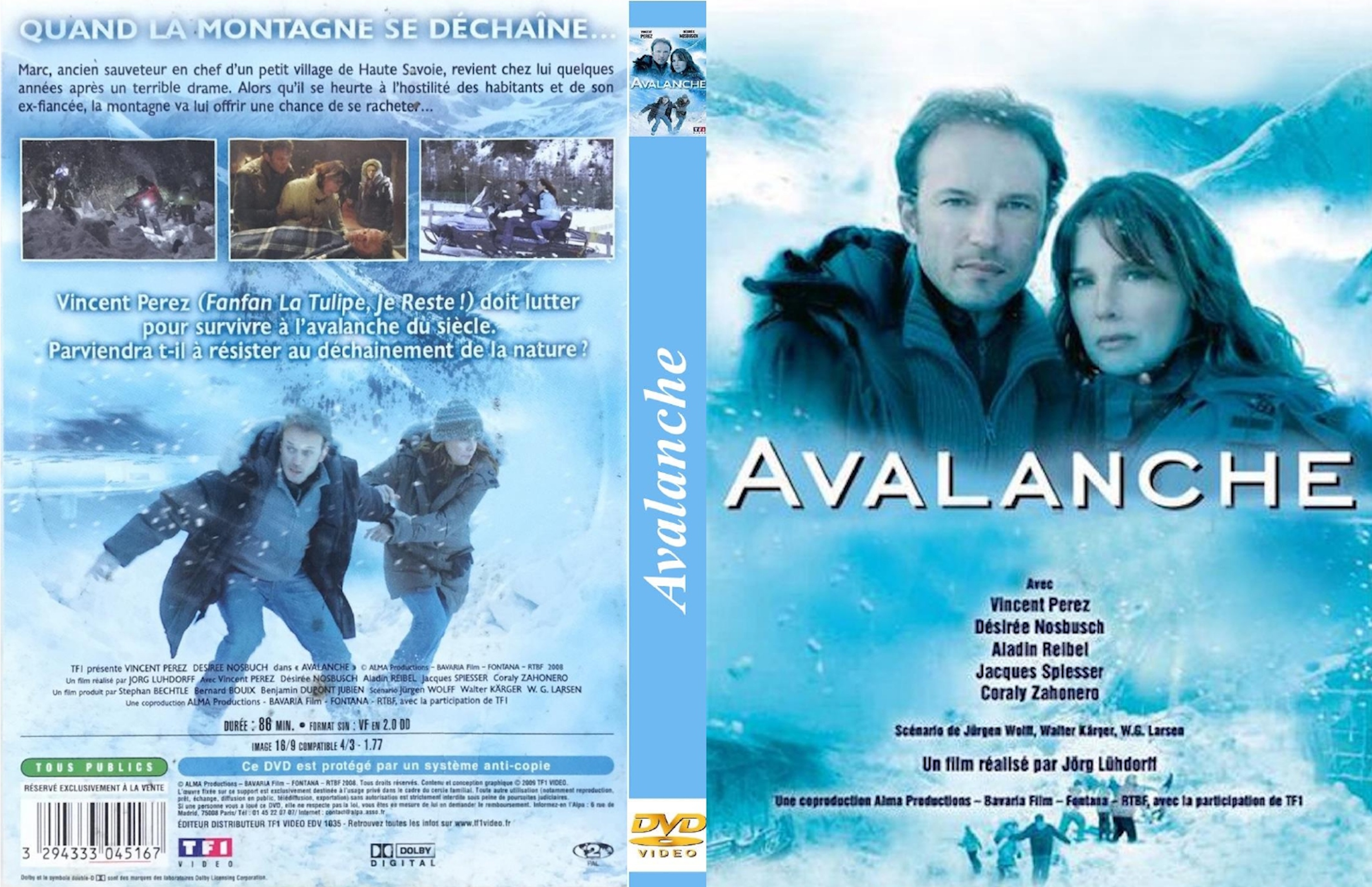 Jaquette DVD Avalanche (2008) custom