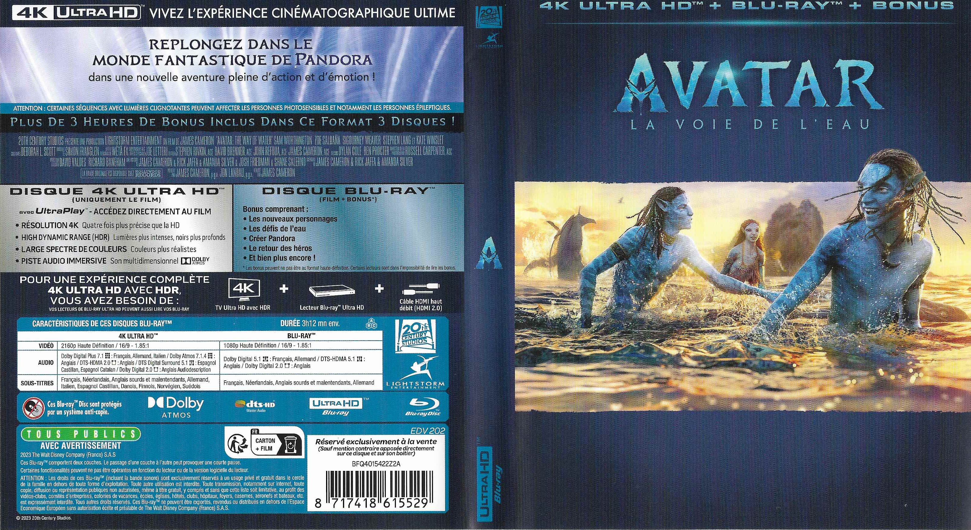 Jaquette DVD Avatar La Voie de l