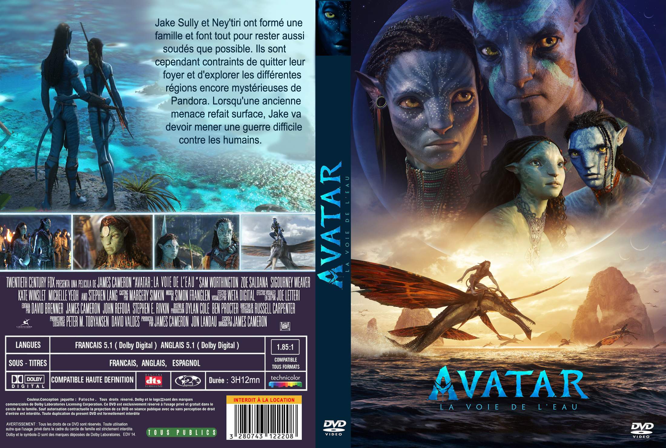 Jaquette DVD Avatar la voie de l