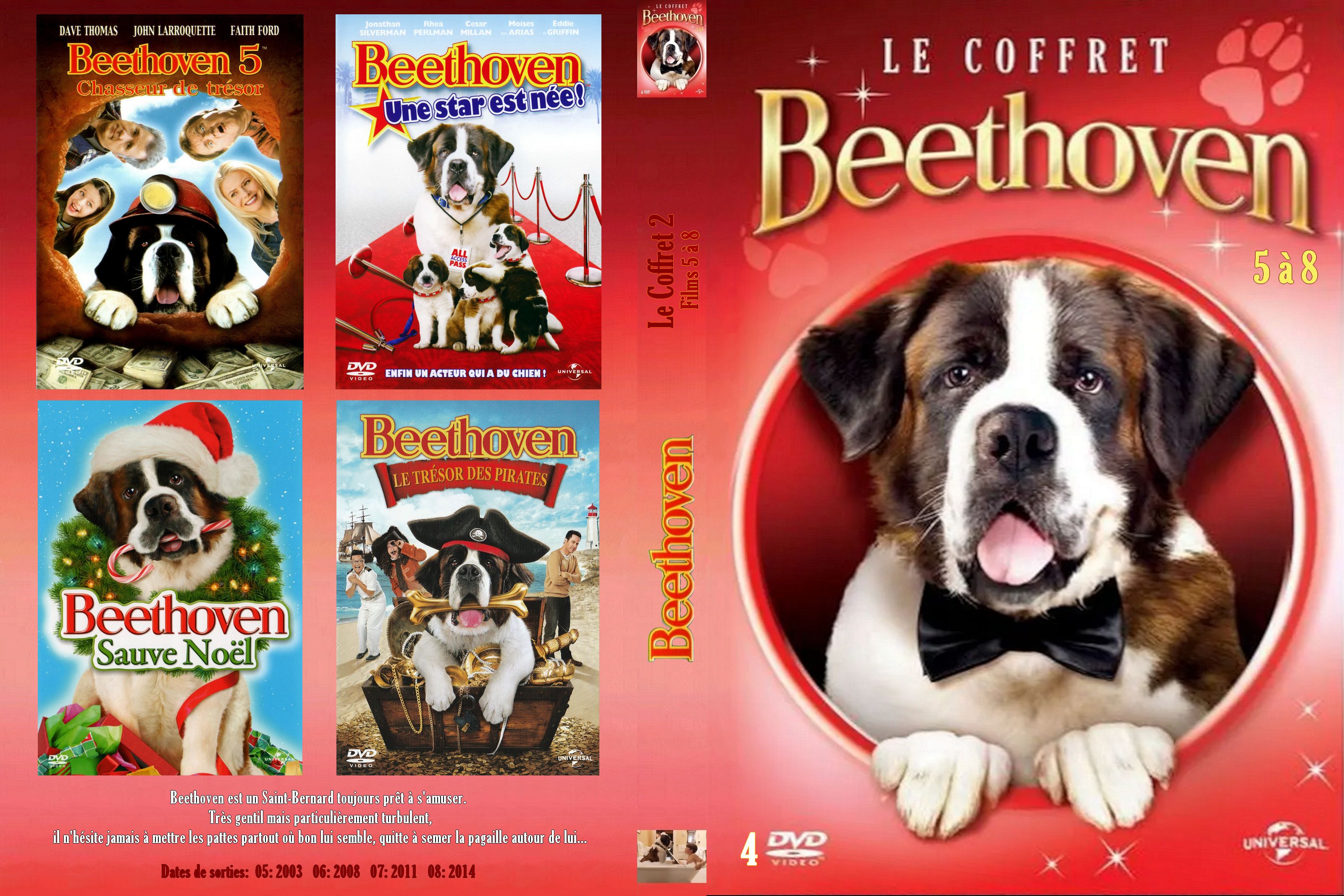 Jaquette DVD Beethoven 5-8 - Coffret custom