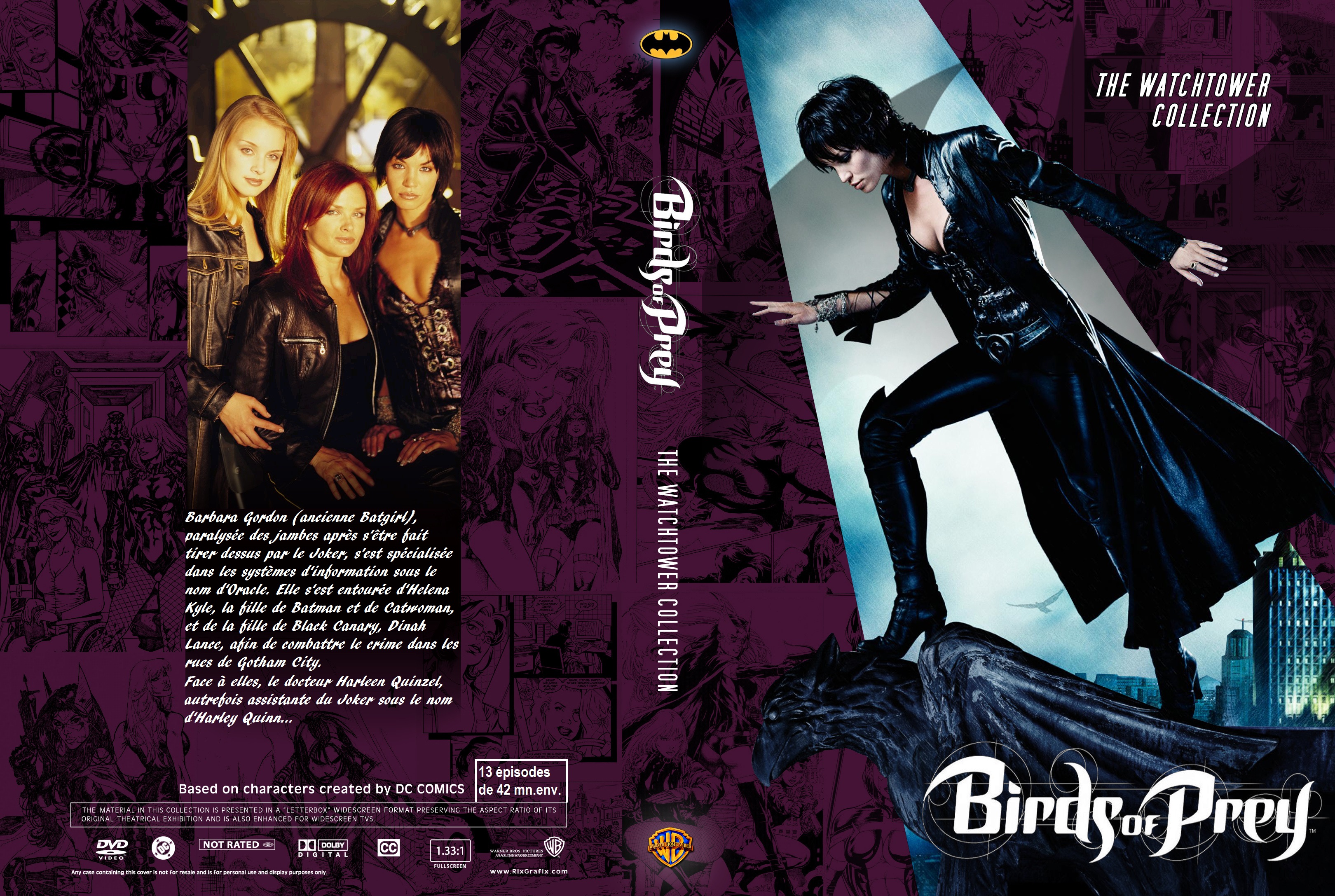 Jaquette DVD Birds of Prey saison 1 custom