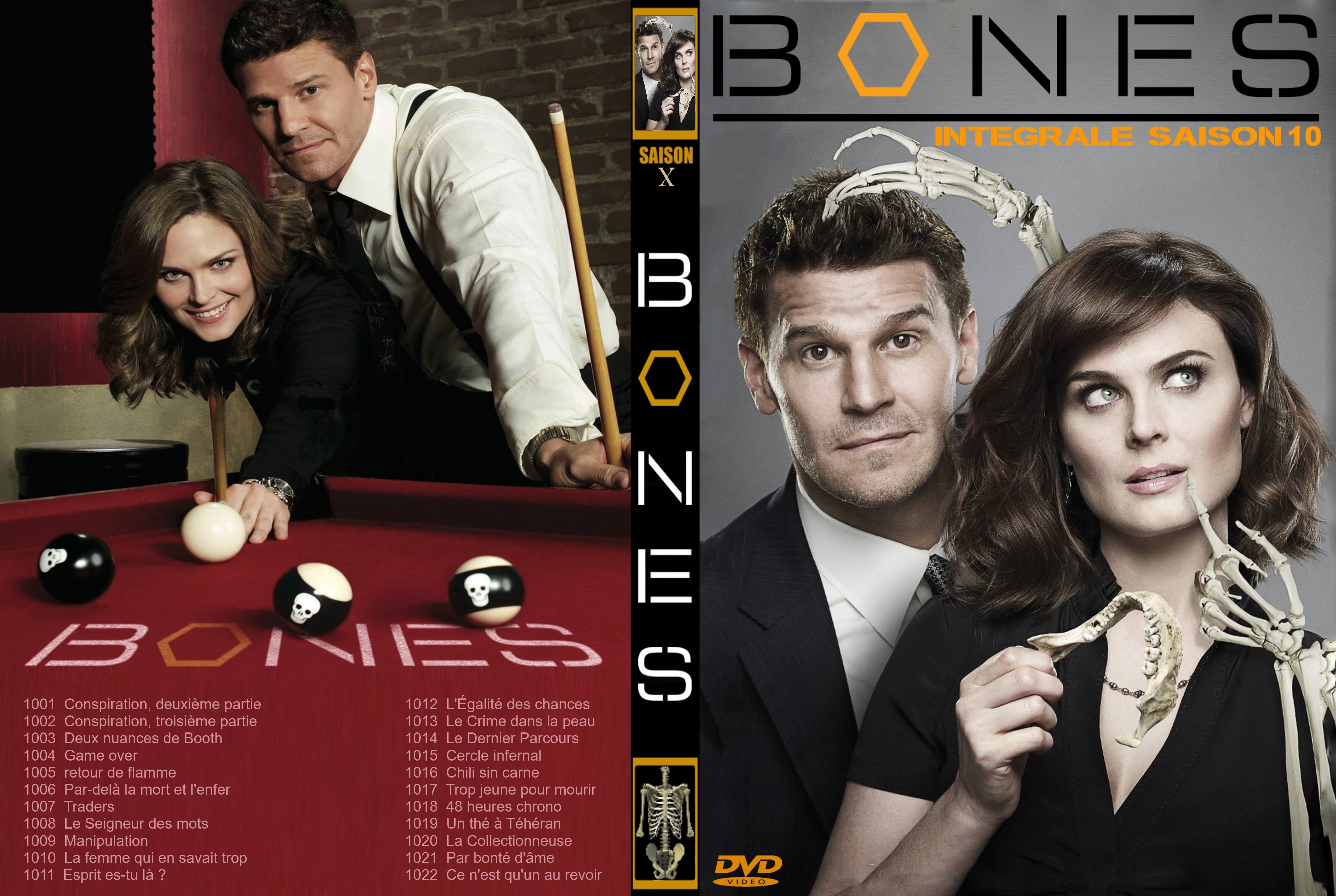 Jaquette DVD Bones Saison 10 custom