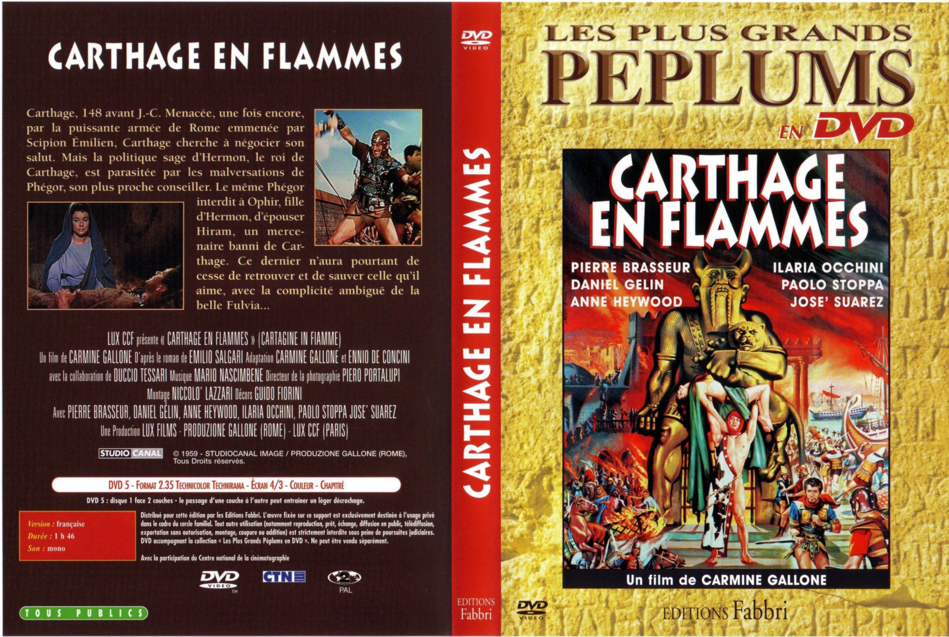 Jaquette DVD Carthage en flammes