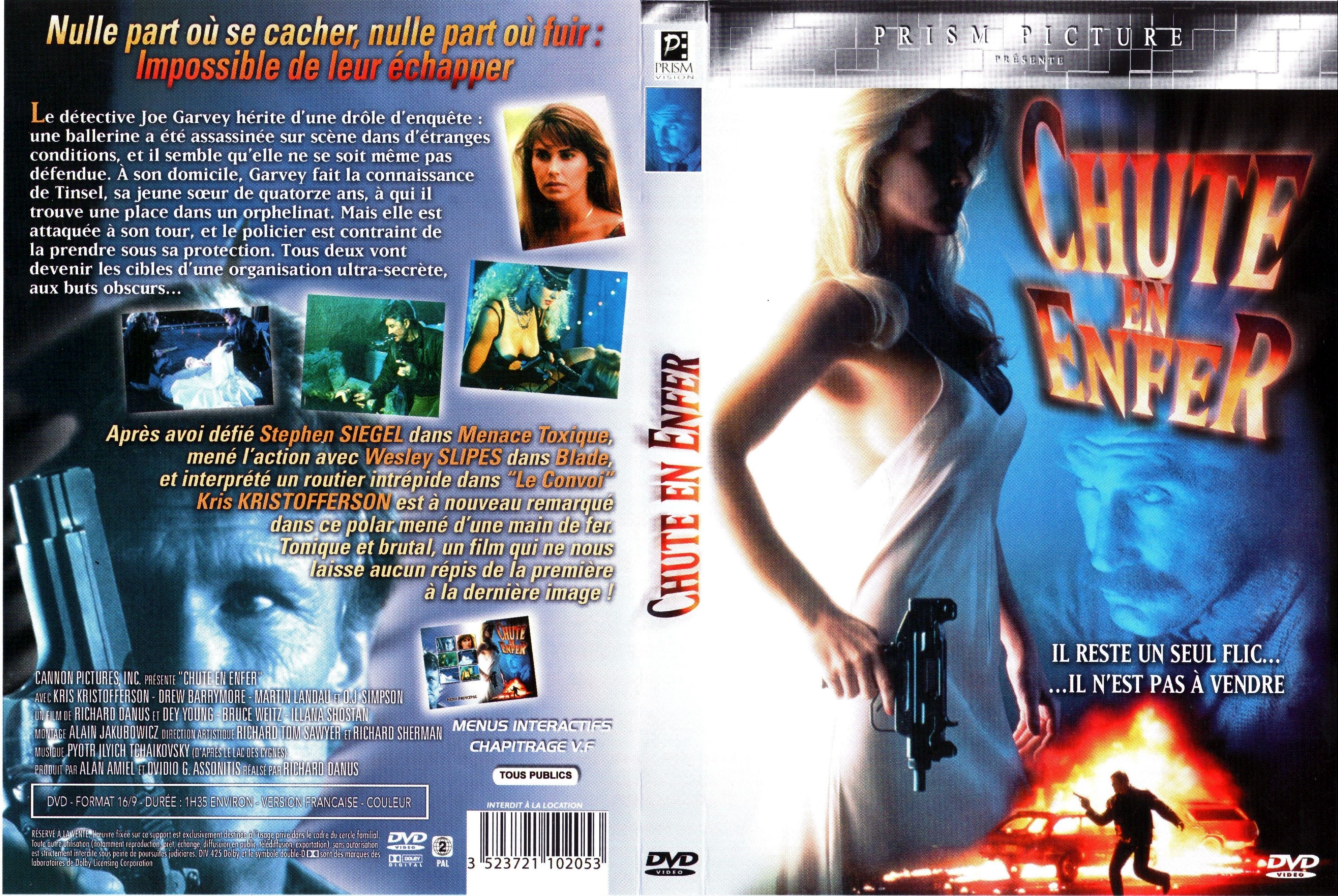 Jaquette DVD Chute en enfer