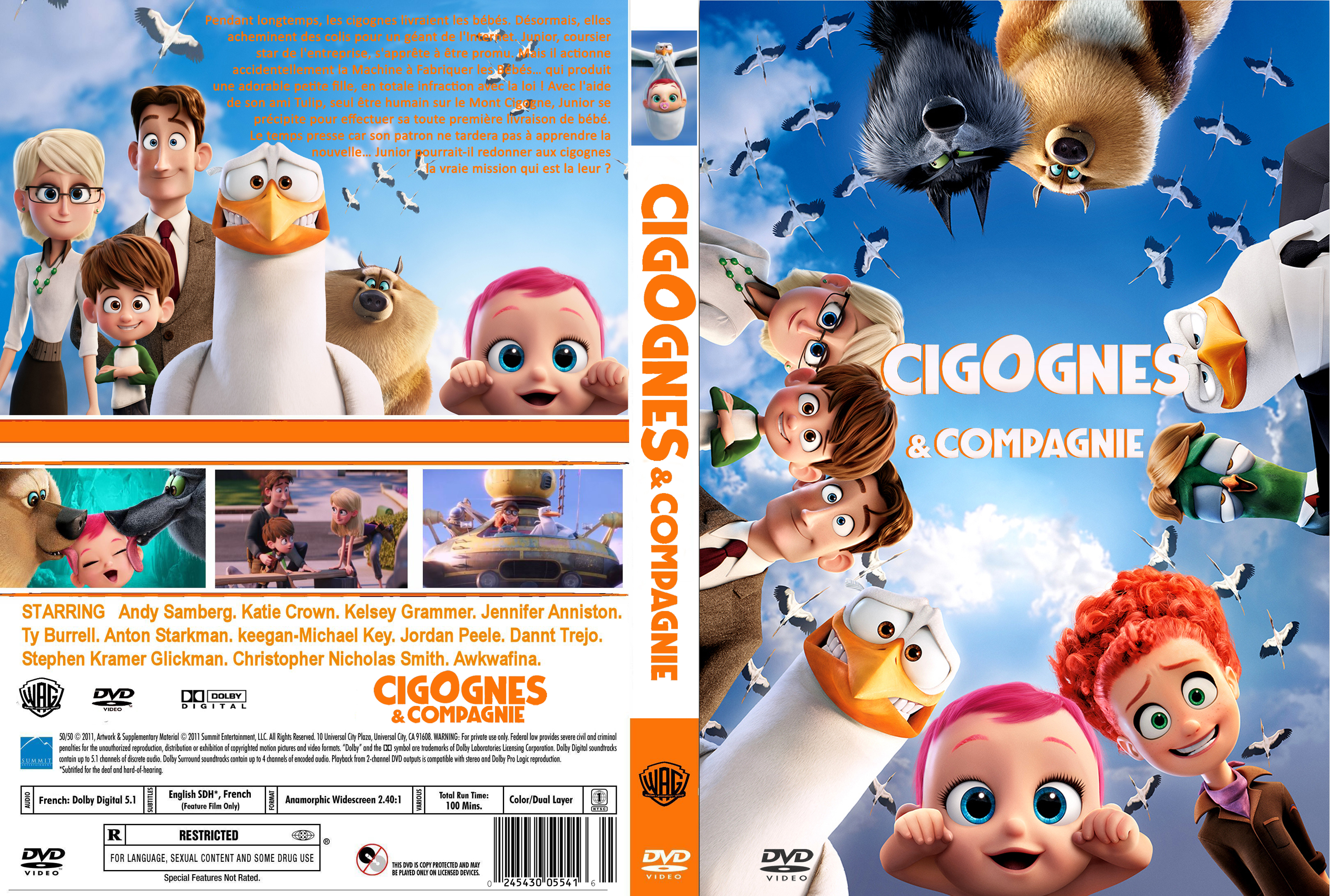 Jaquette DVD Cigognes et compagnie custom