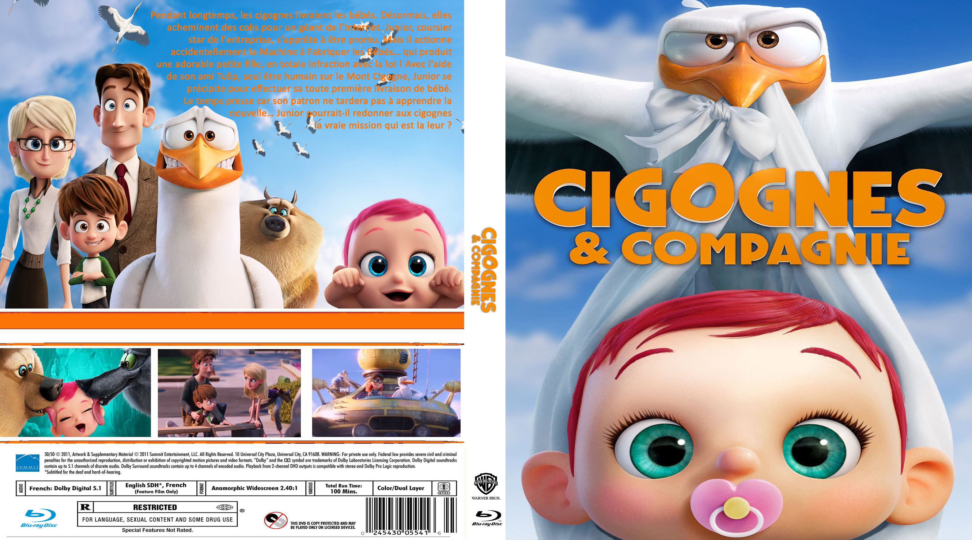 Jaquette DVD Cigognes et compagnie custom (BLU-RAY)