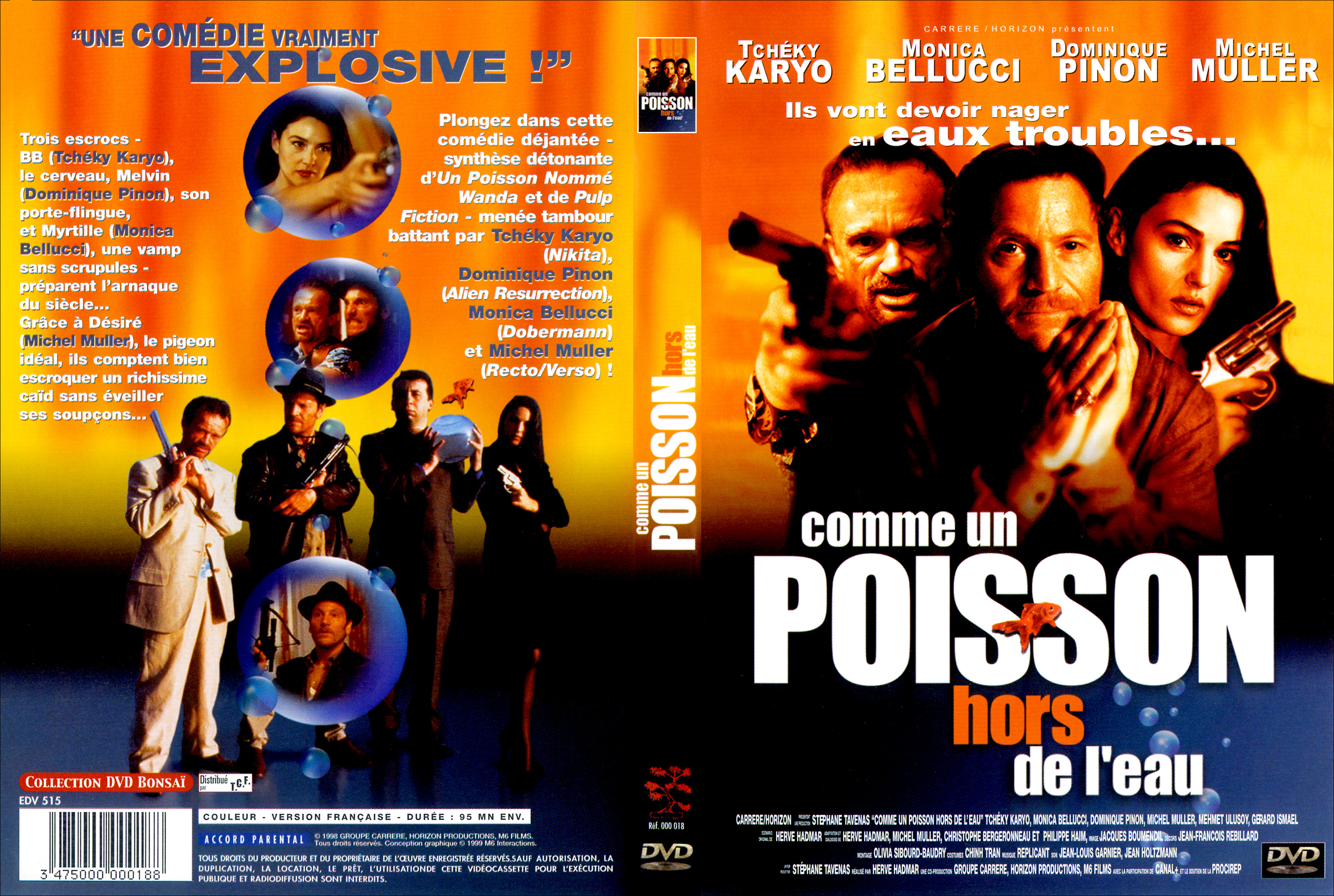 Jaquette DVD Comme un poisson hors de l