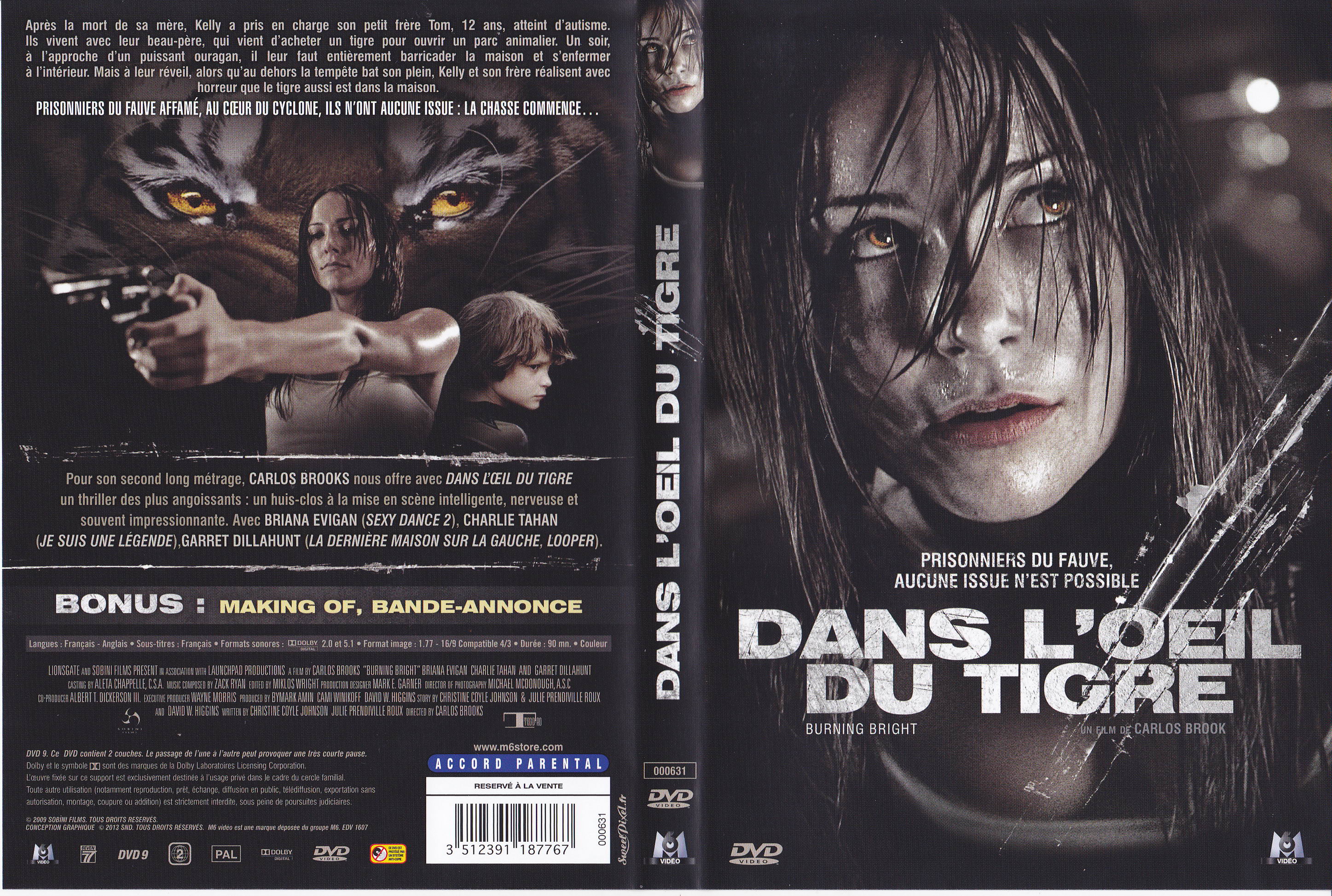 Jaquette DVD Dans l