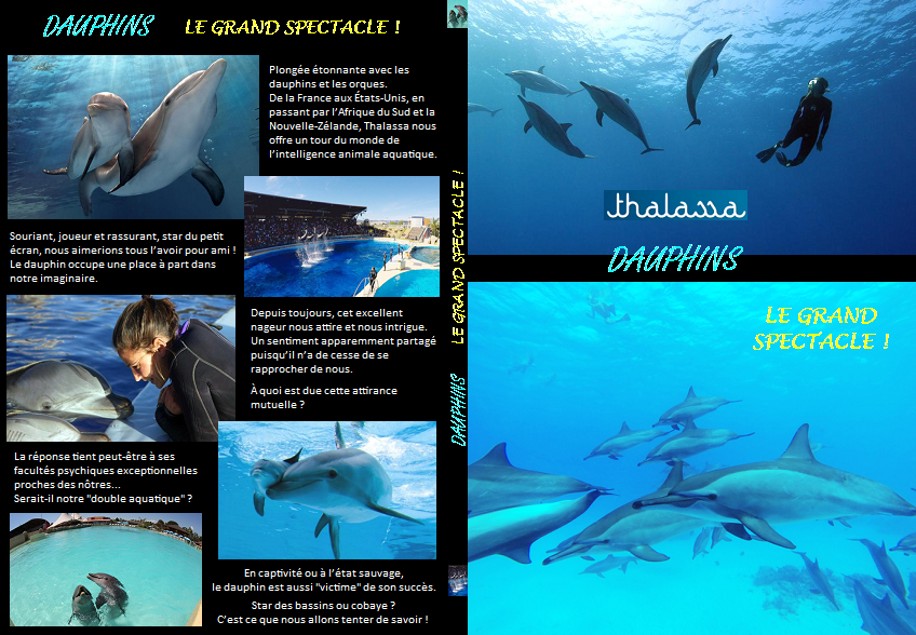 Jaquette DVD Dauphins, Le Grand Spectacle custom