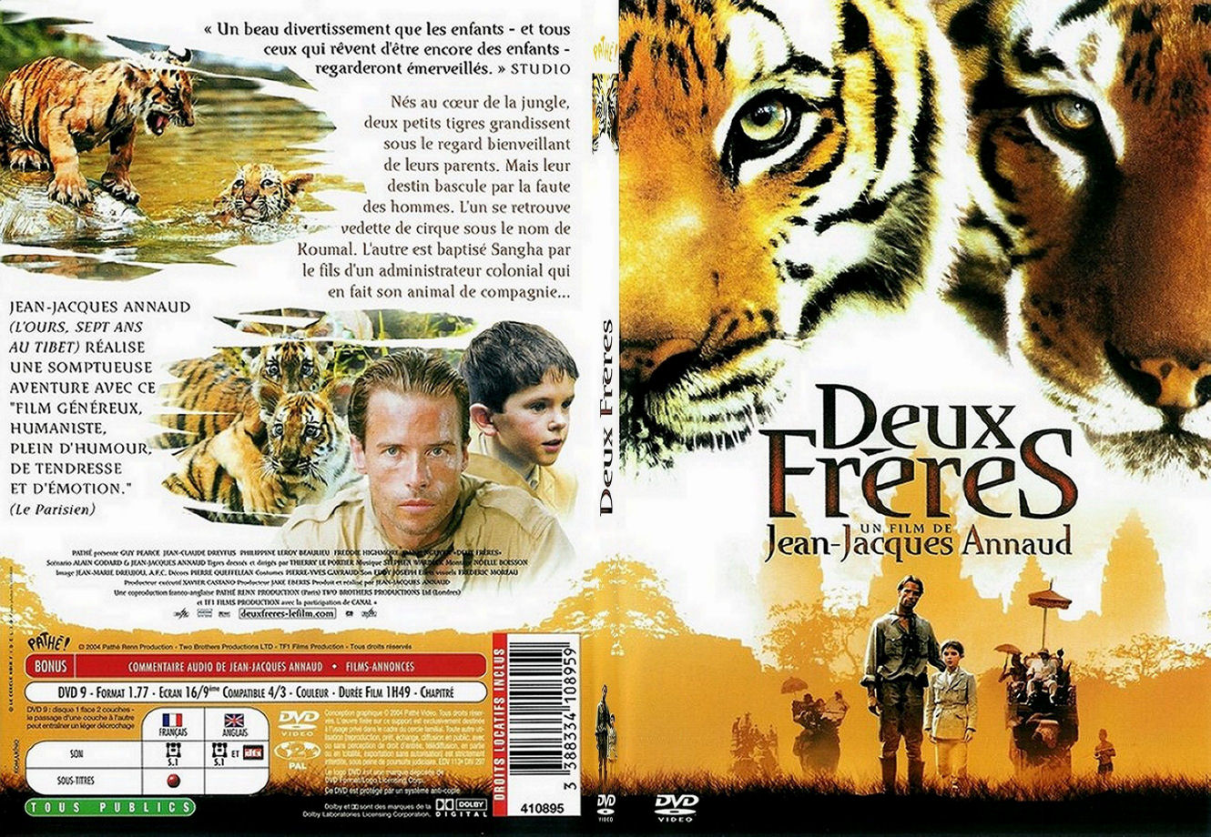 Jaquette DVD Deux freres - SLIM