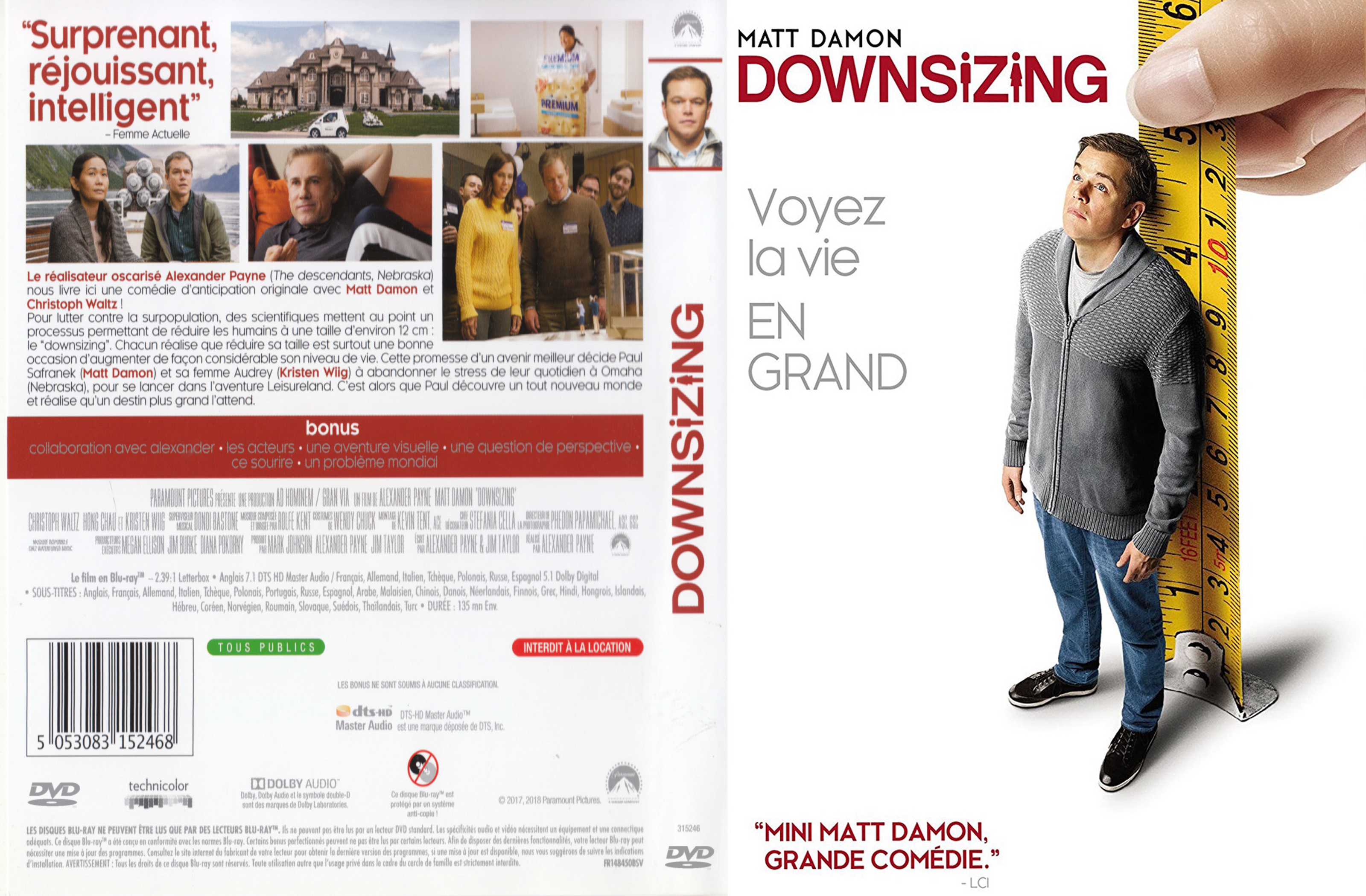 Jaquette DVD Downsizing custom