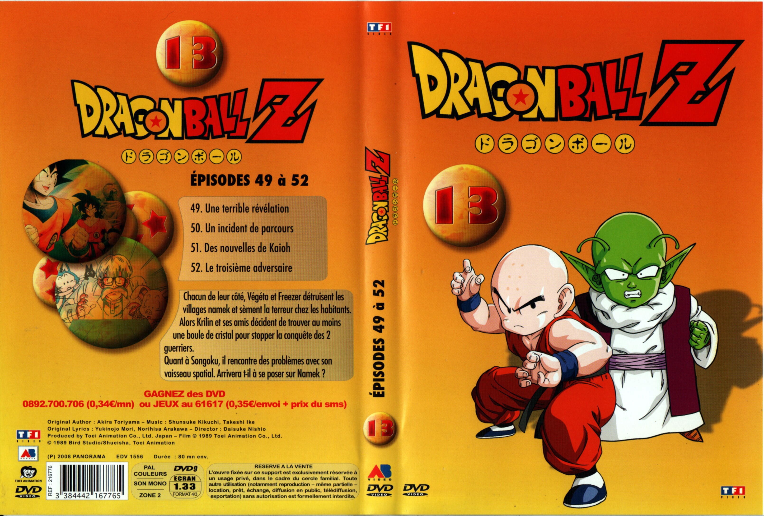 Jaquette DVD Dragon Ball Z vol 13 v2