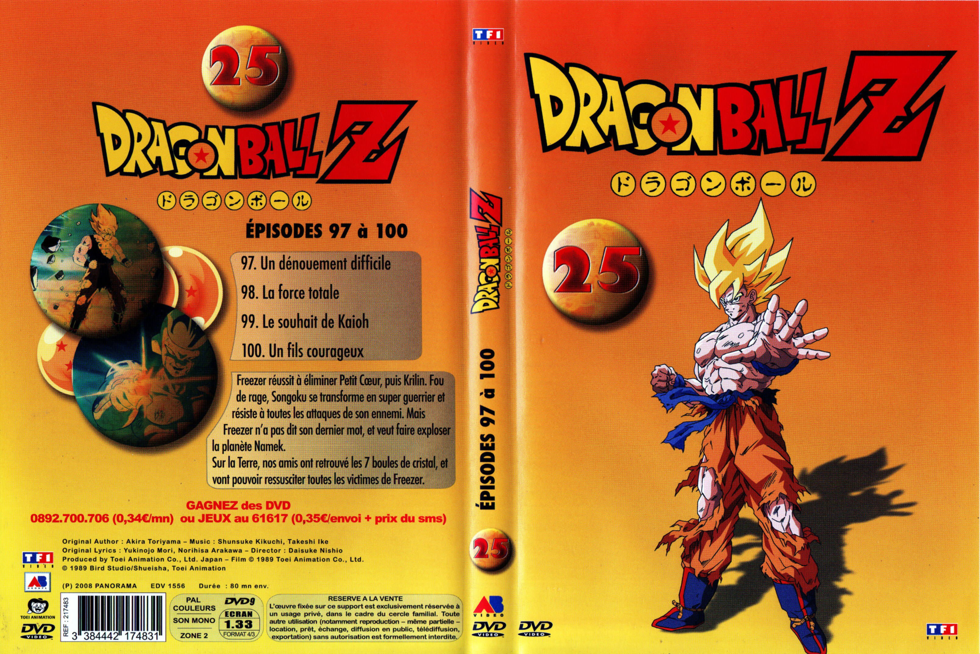 Jaquette DVD Dragon Ball Z vol 25 v2