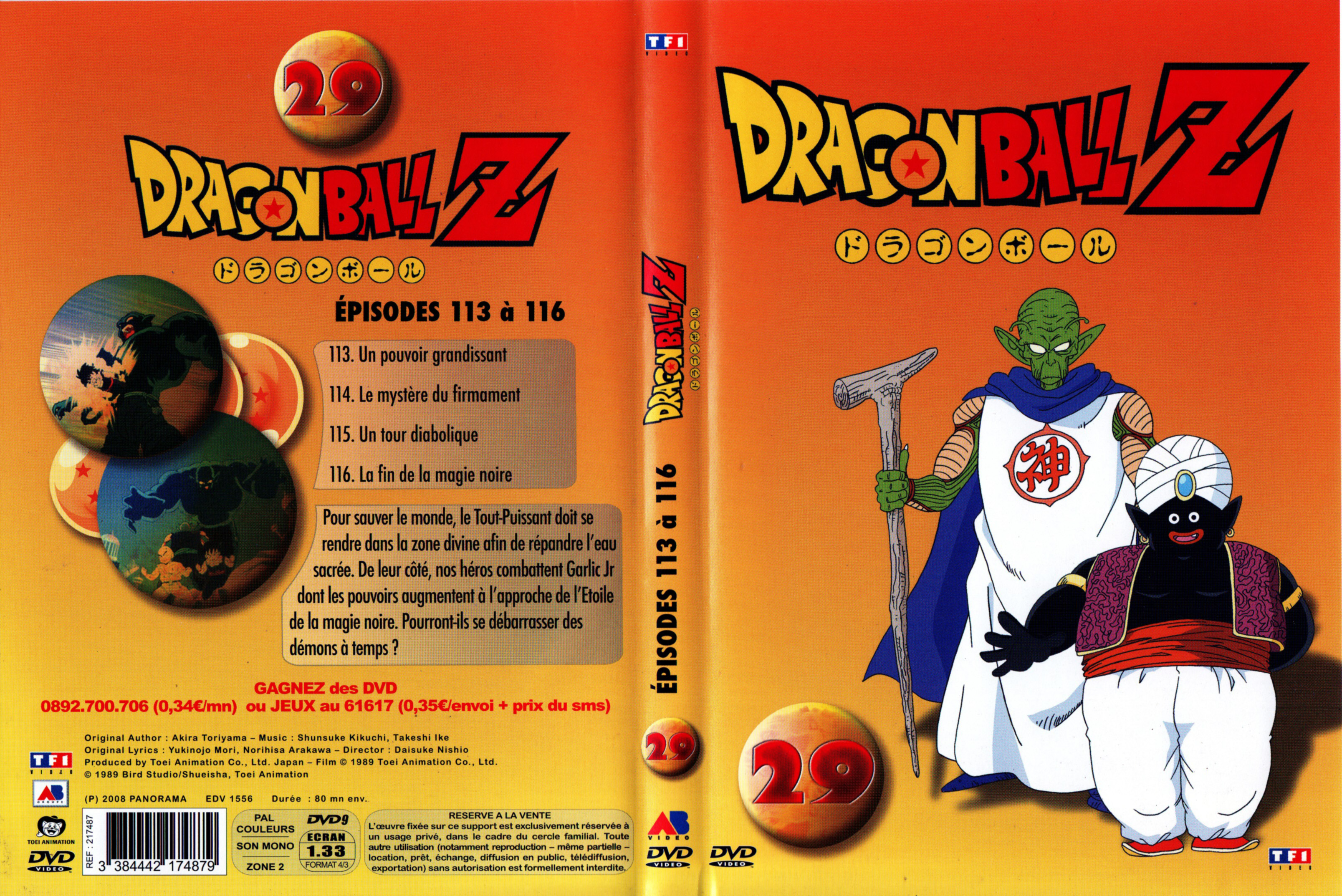 Jaquette DVD Dragon Ball Z vol 29 v2