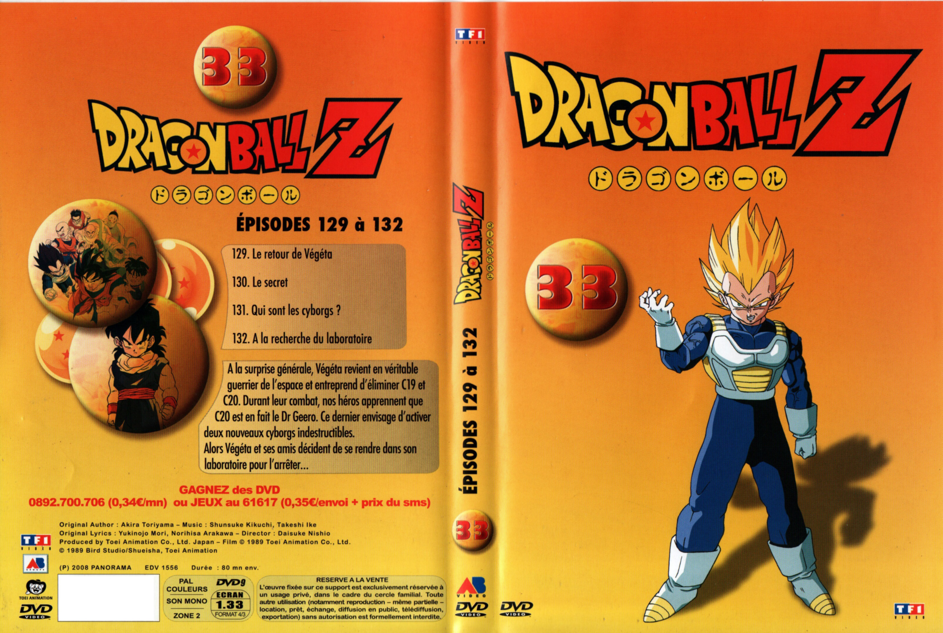 Jaquette DVD Dragon Ball Z vol 33 v2