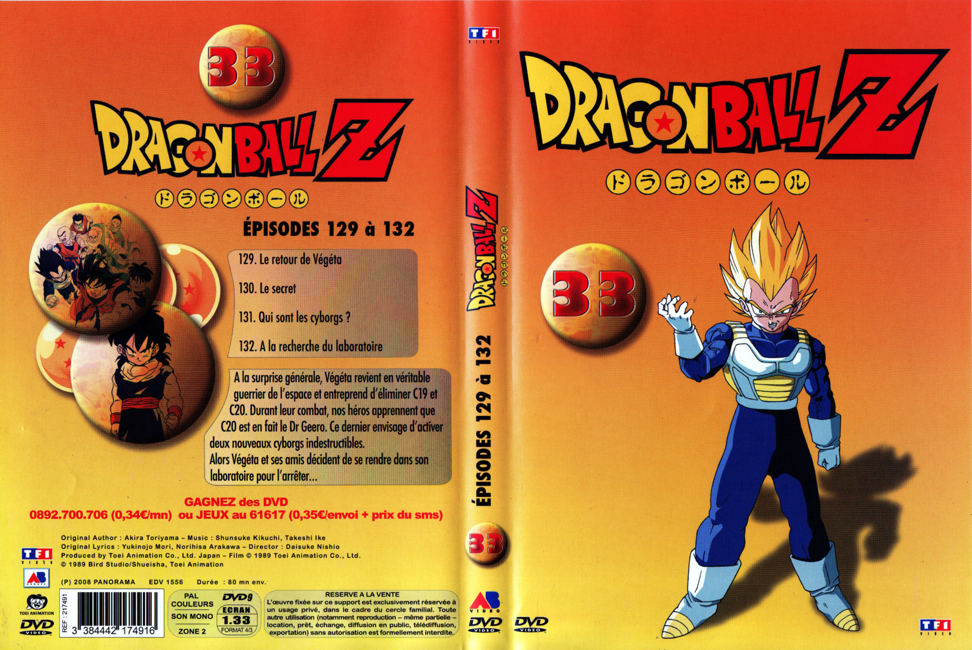 Jaquette DVD Dragon Ball Z vol 33 v3