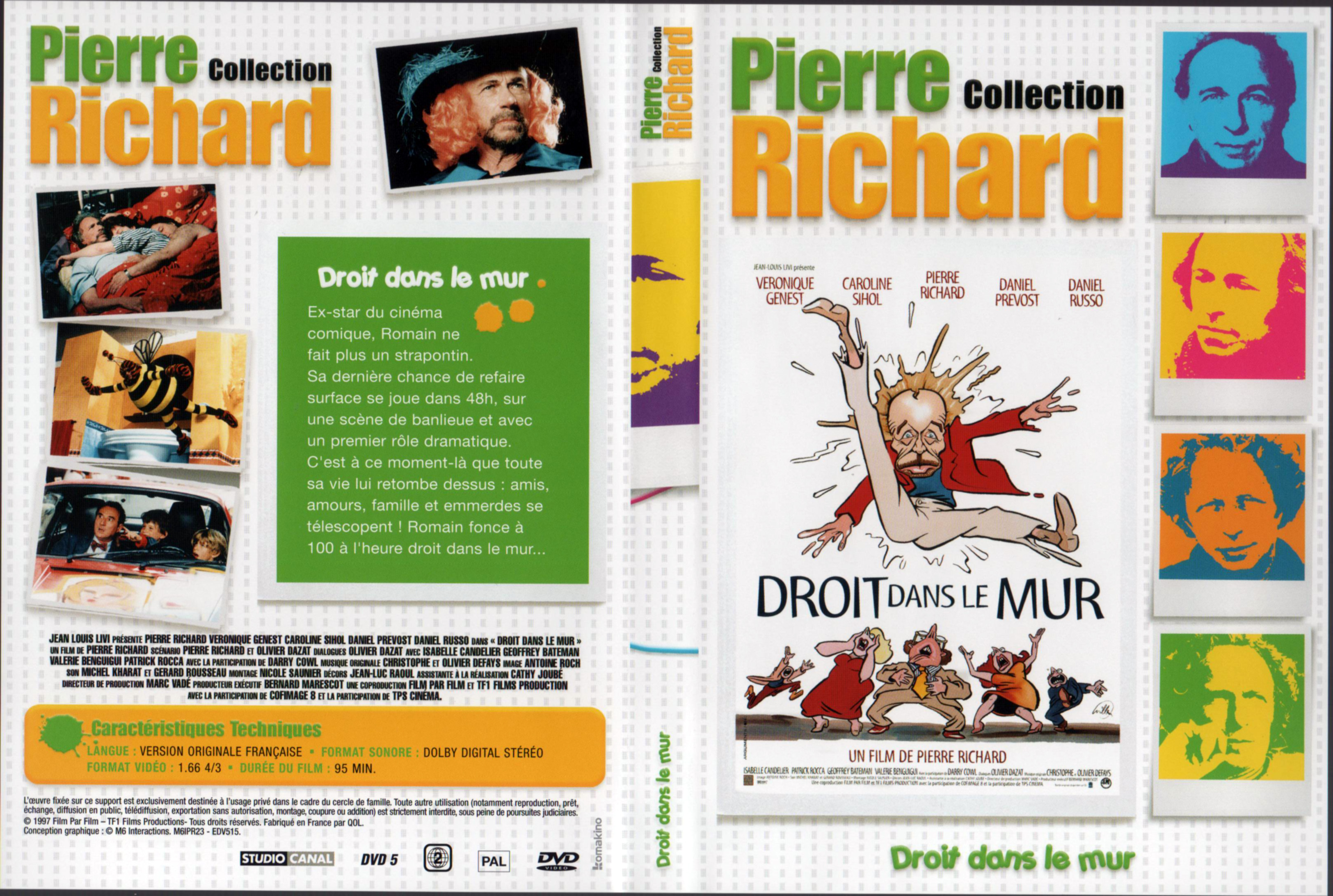 Jaquette DVD Droit dans le mur