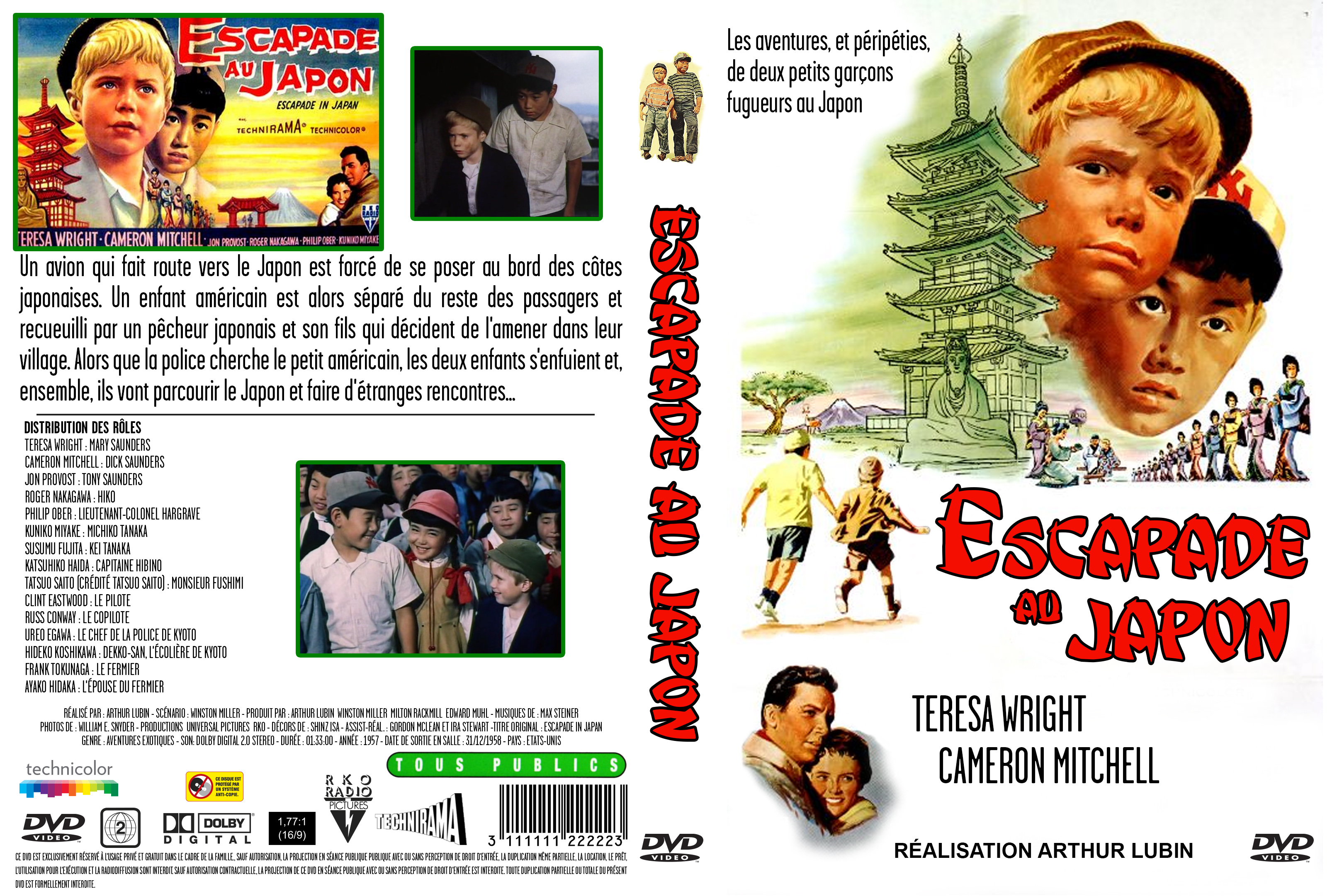 Jaquette DVD Escapade au Japon custom