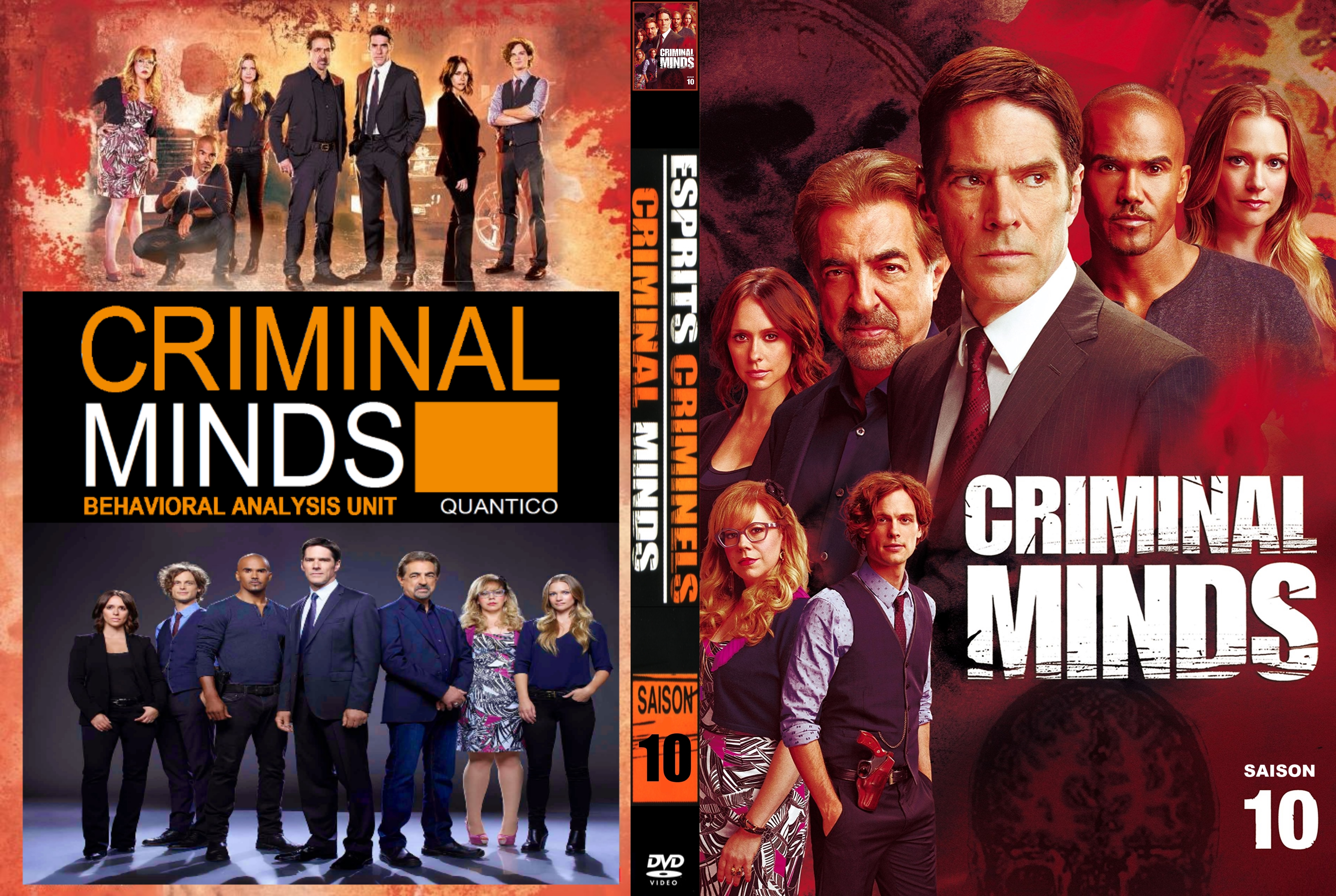 Jaquette DVD Esprits criminels Saison 10 custom