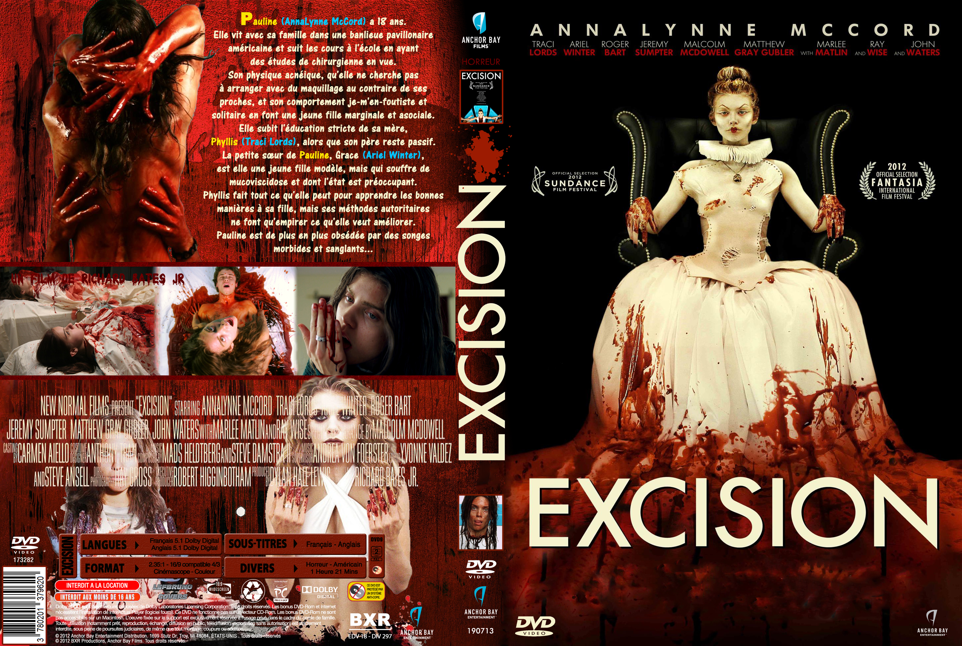 Jaquette DVD Excision custom
