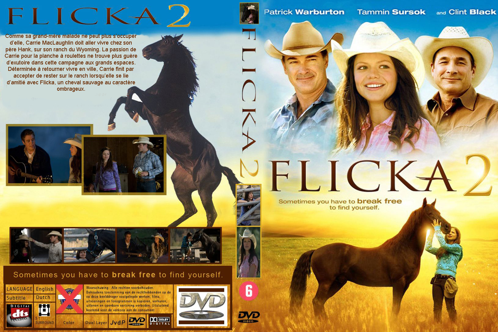 Jaquette DVD Flicka 2 custom