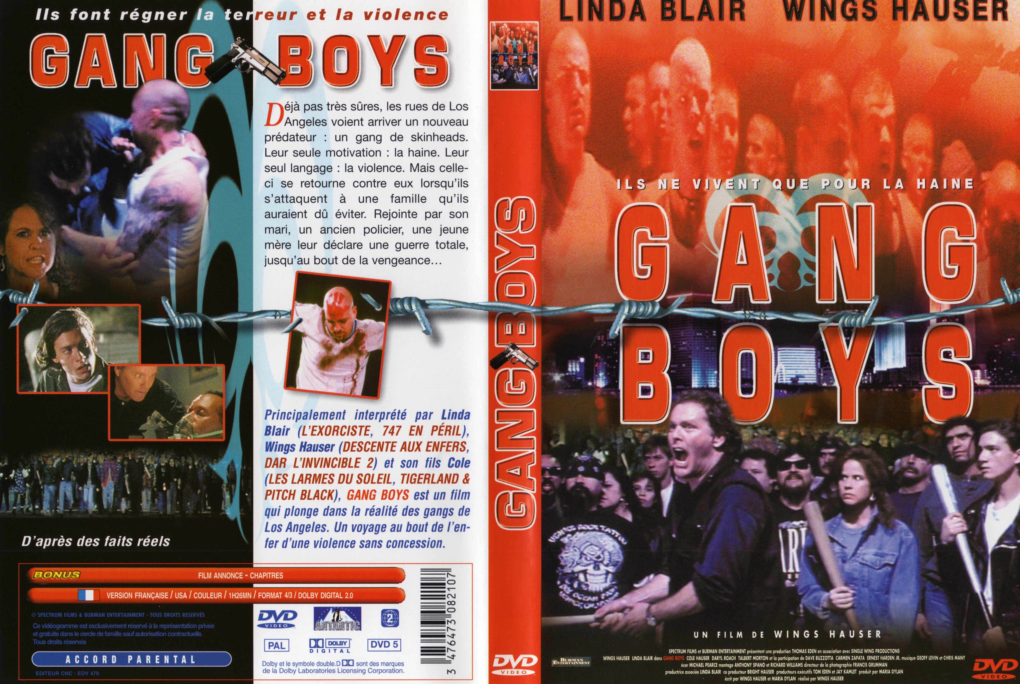 Jaquette DVD Gang Boys